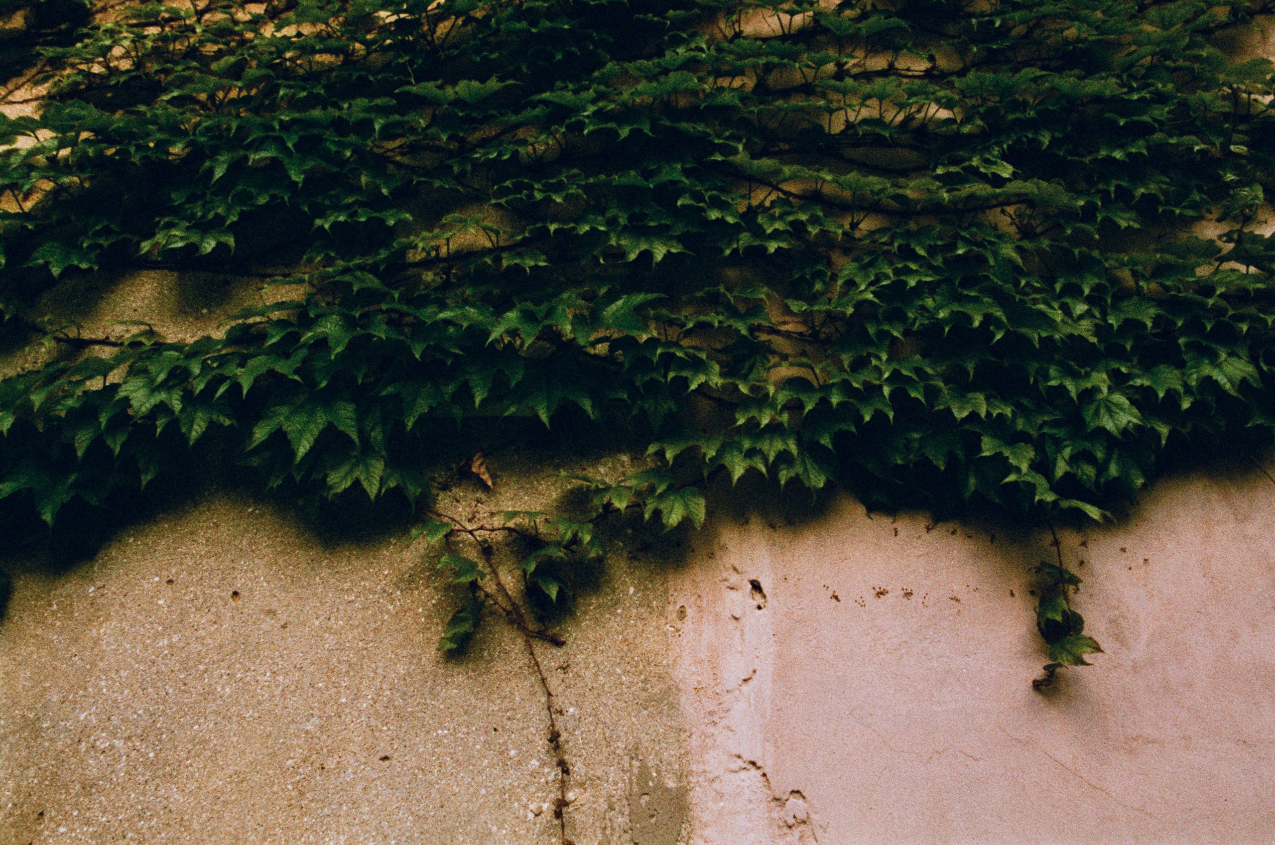 Press enter to exit // ukraine, crimea. EVER EXPOSED