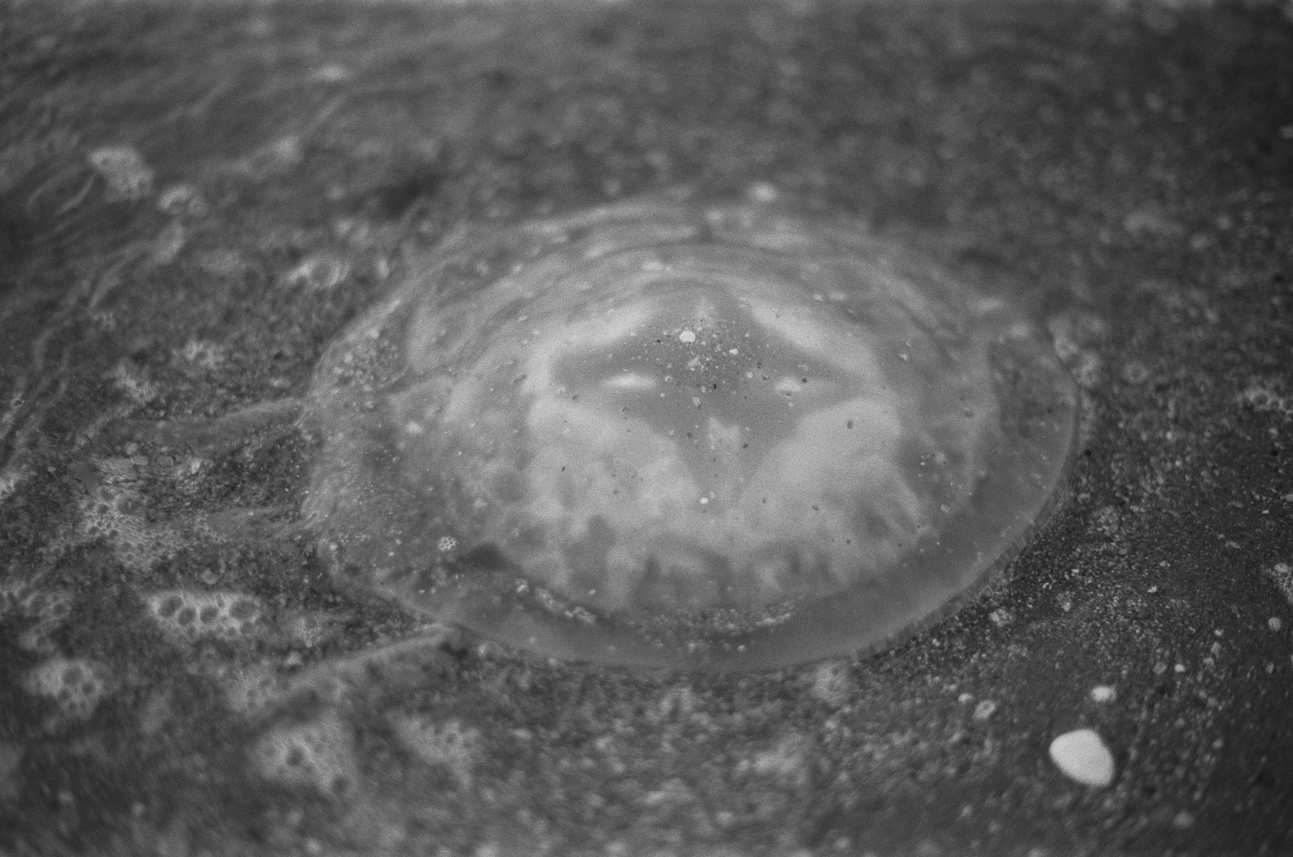 Move me // ukraine, crimea IV. EVER EXPOSED