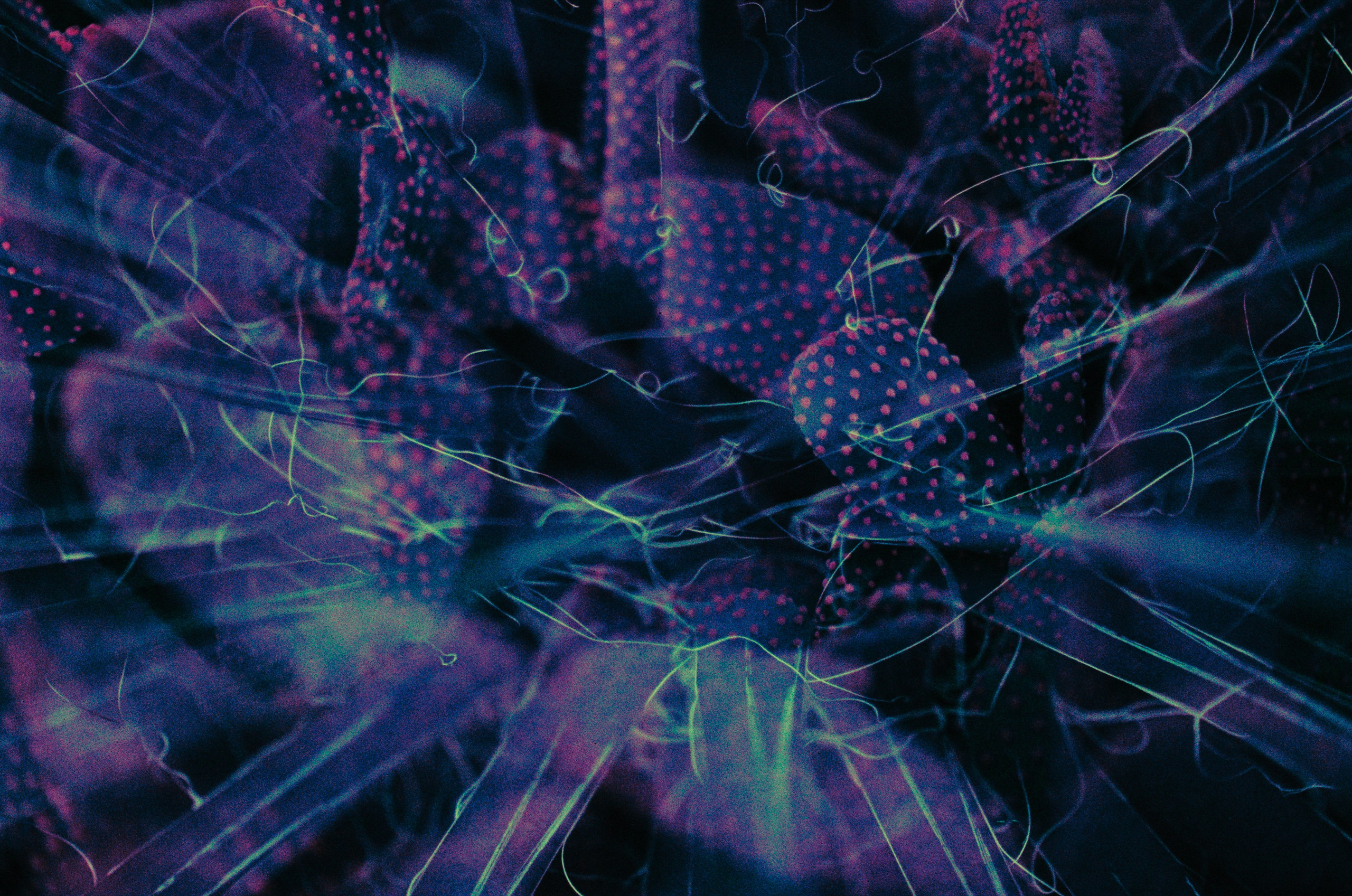 Everything i could never say to you. EVER EXPOSED