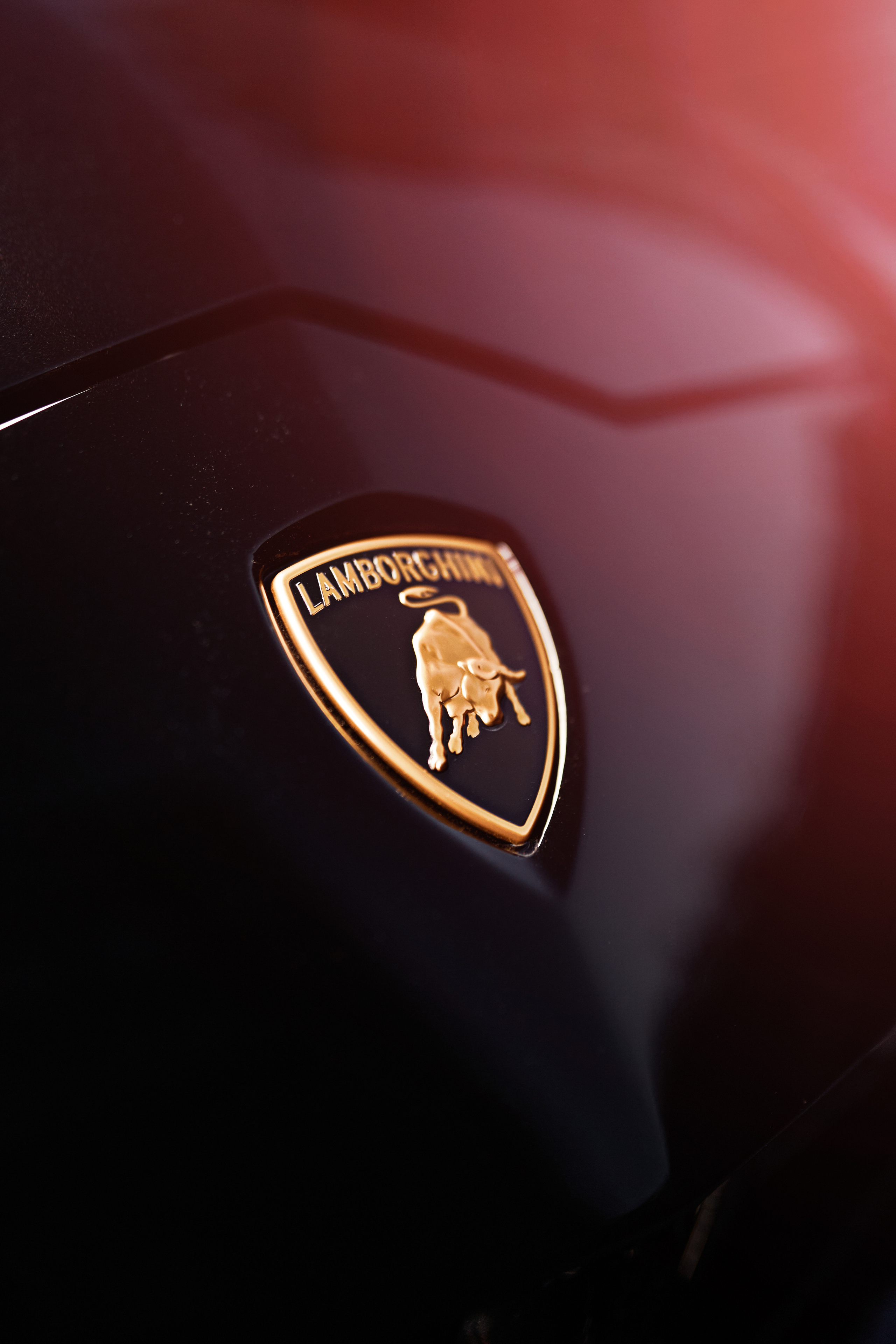 логотип ламборгини урус крупный план