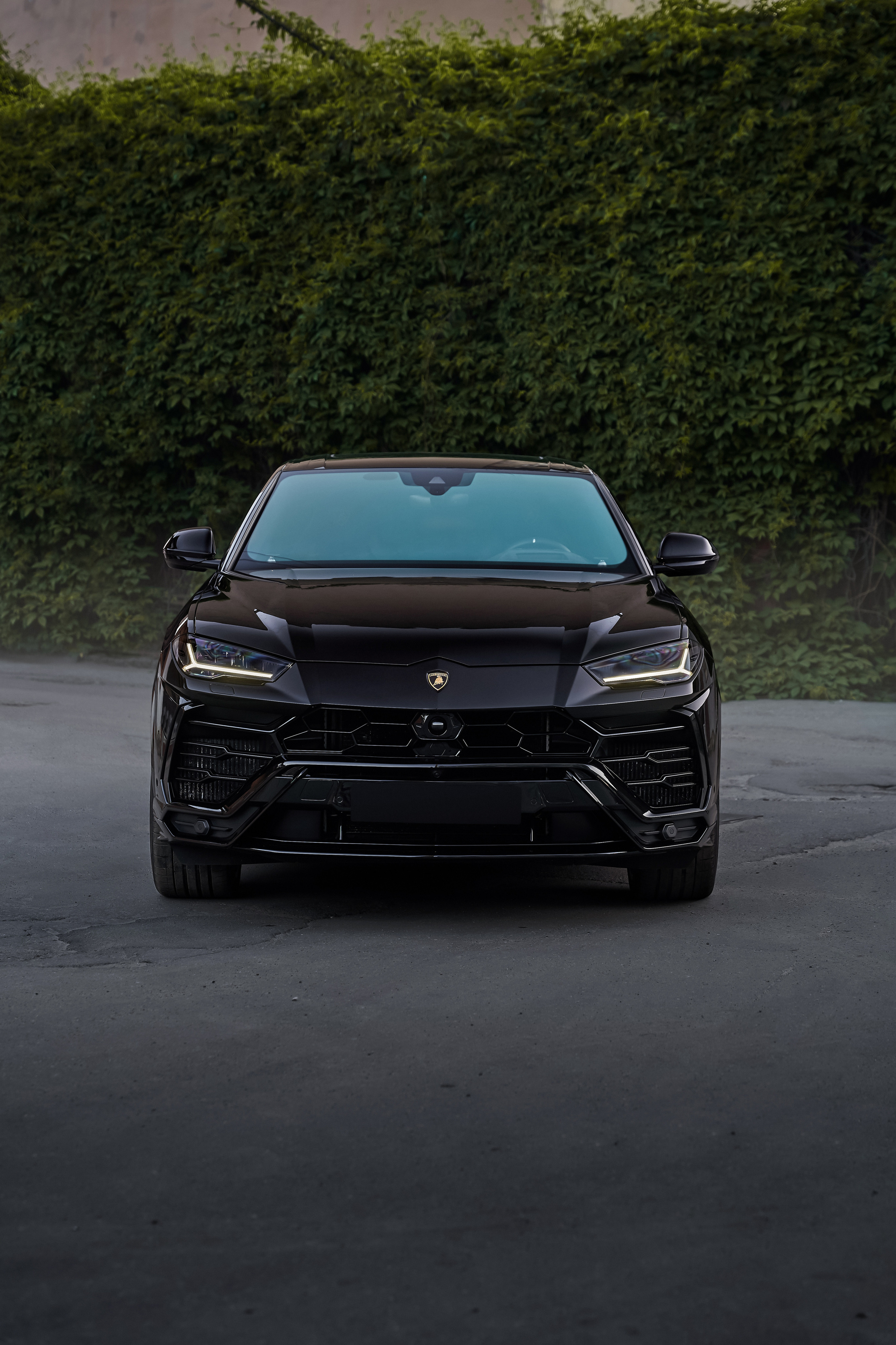 Lamborgini urus вид спереди