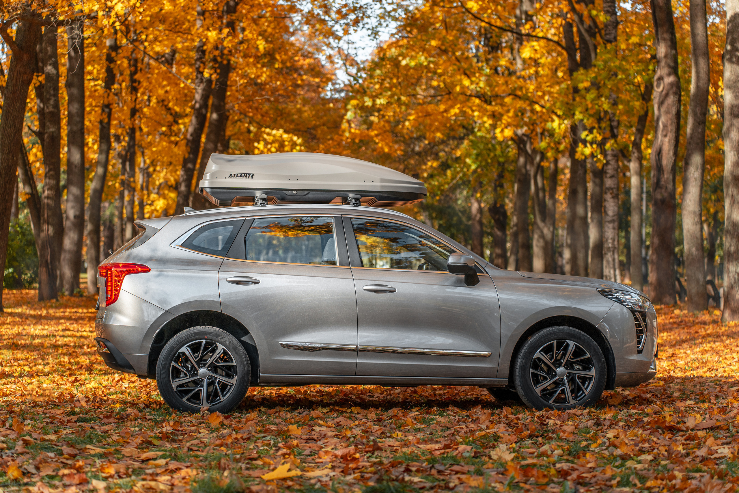 Rolsters. Фотограф в Санкт-Петербурге