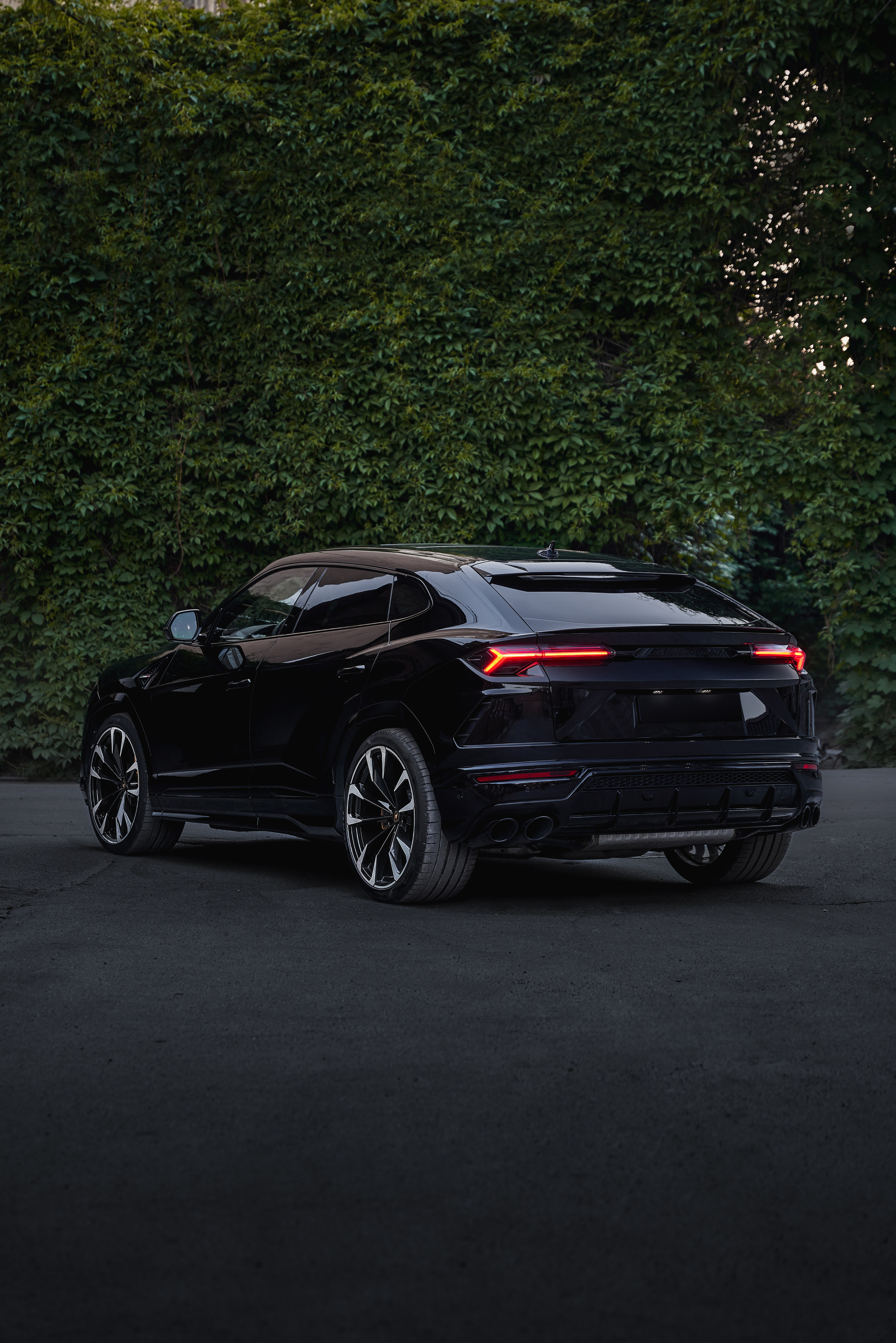 ламборгини урус вид сзади