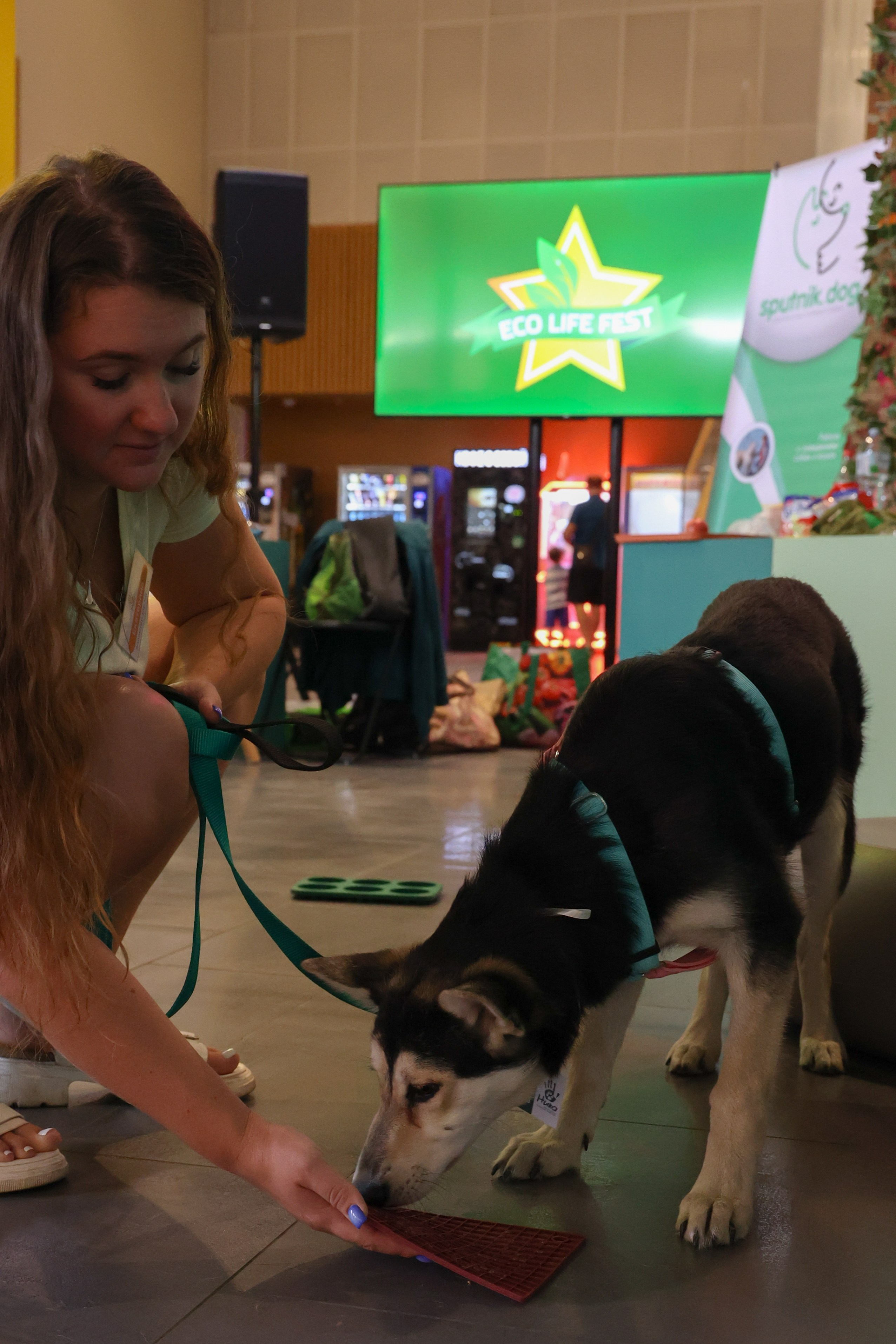 ECO FEST. Фотограф Вадим Бодылев