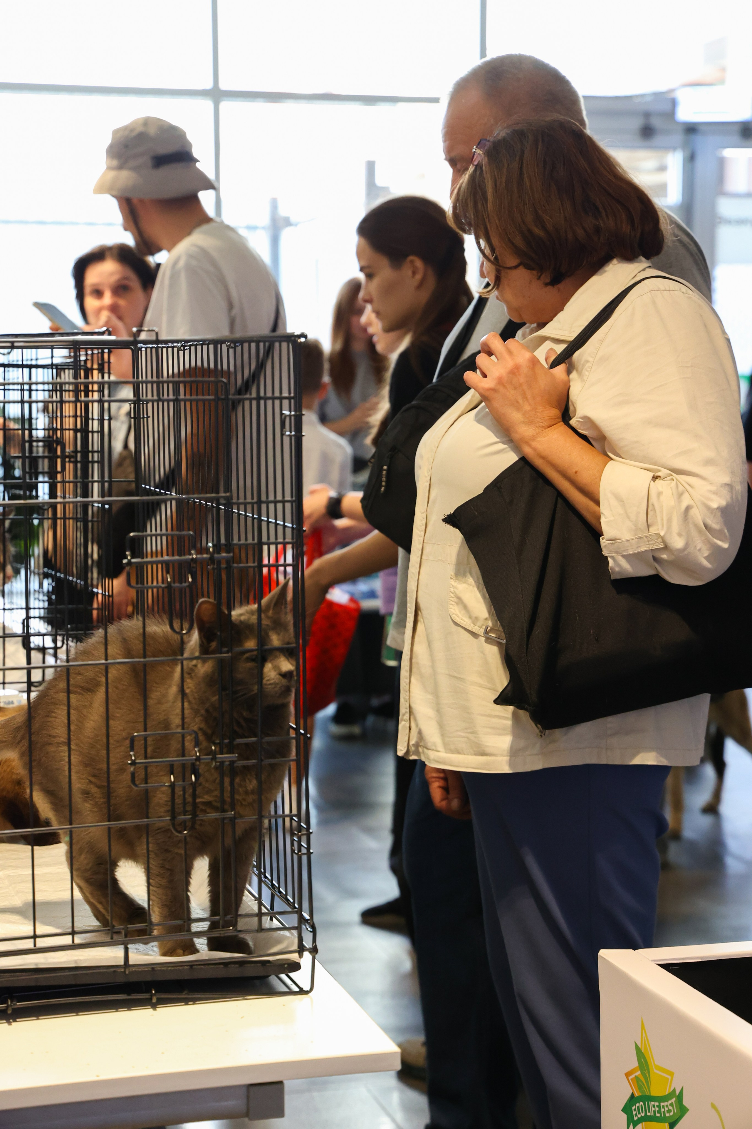 ECO FEST. Фотограф Вадим Бодылев