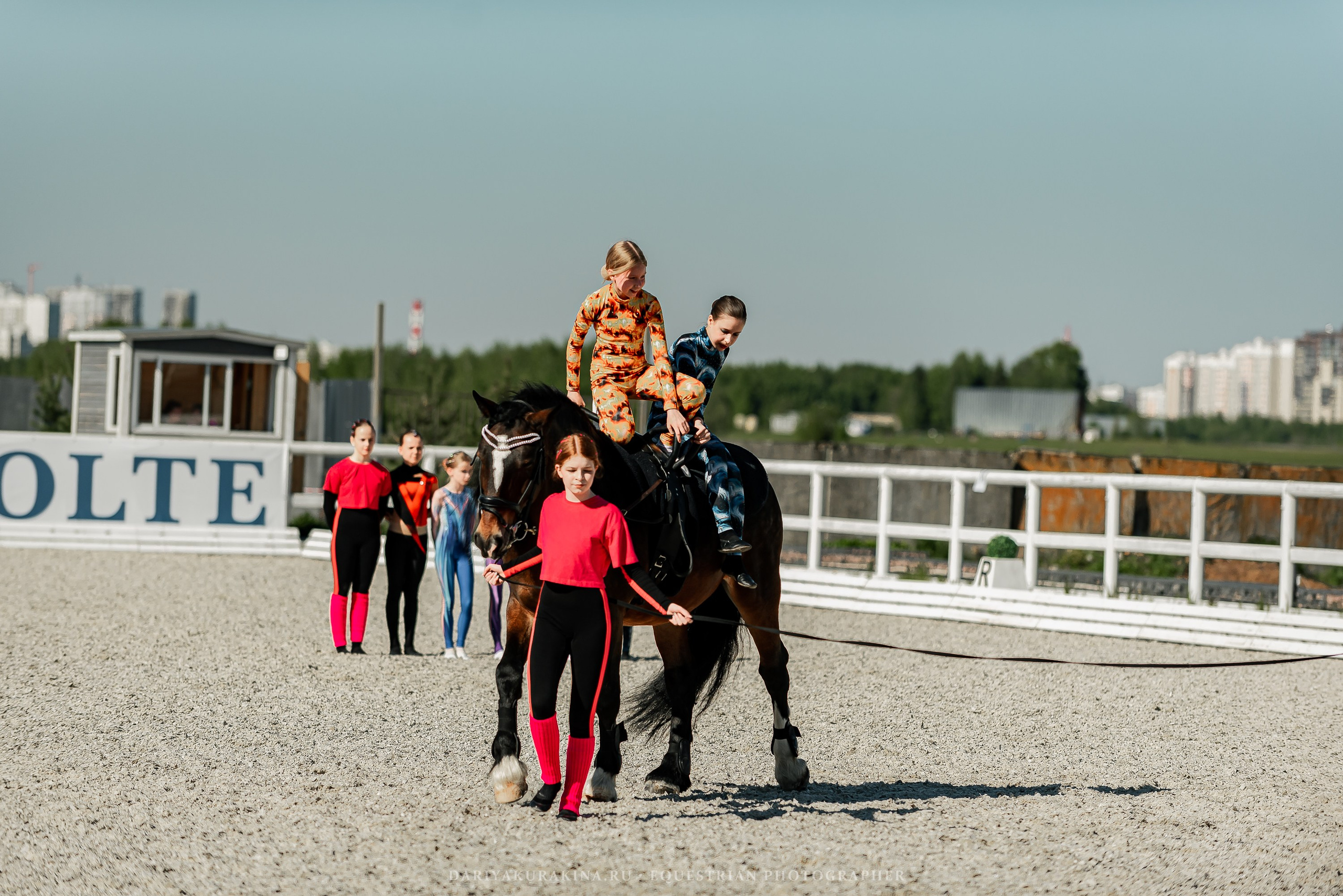 РЕПОРТАЖ МКК ВОЛЬТ «LA TULIPS». Конный фотограф Куракина Дарья • Фотосессии с лошадьми