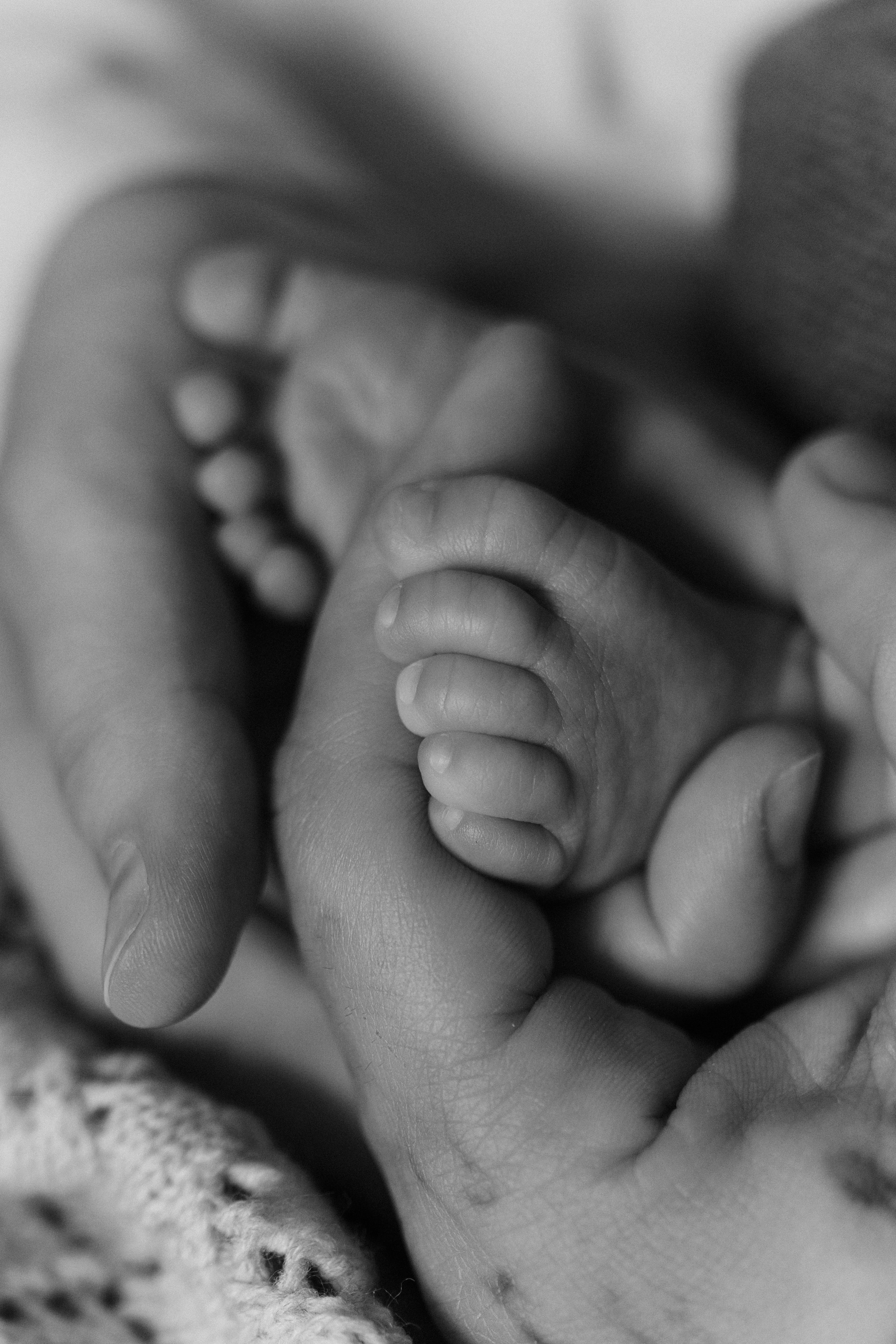 Фотосессия новорождённого Краснодар, семейный фотограф в Краснодаре Яна Морева. Семейный фотограф в Краснодаре Яна Морева