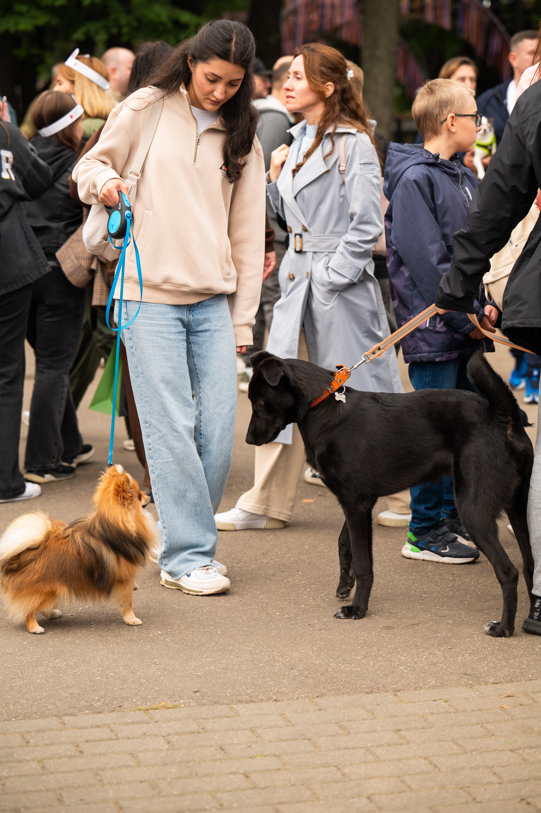 4lapy fest 2025. Photographer in Moscow Anna Chistiakova
