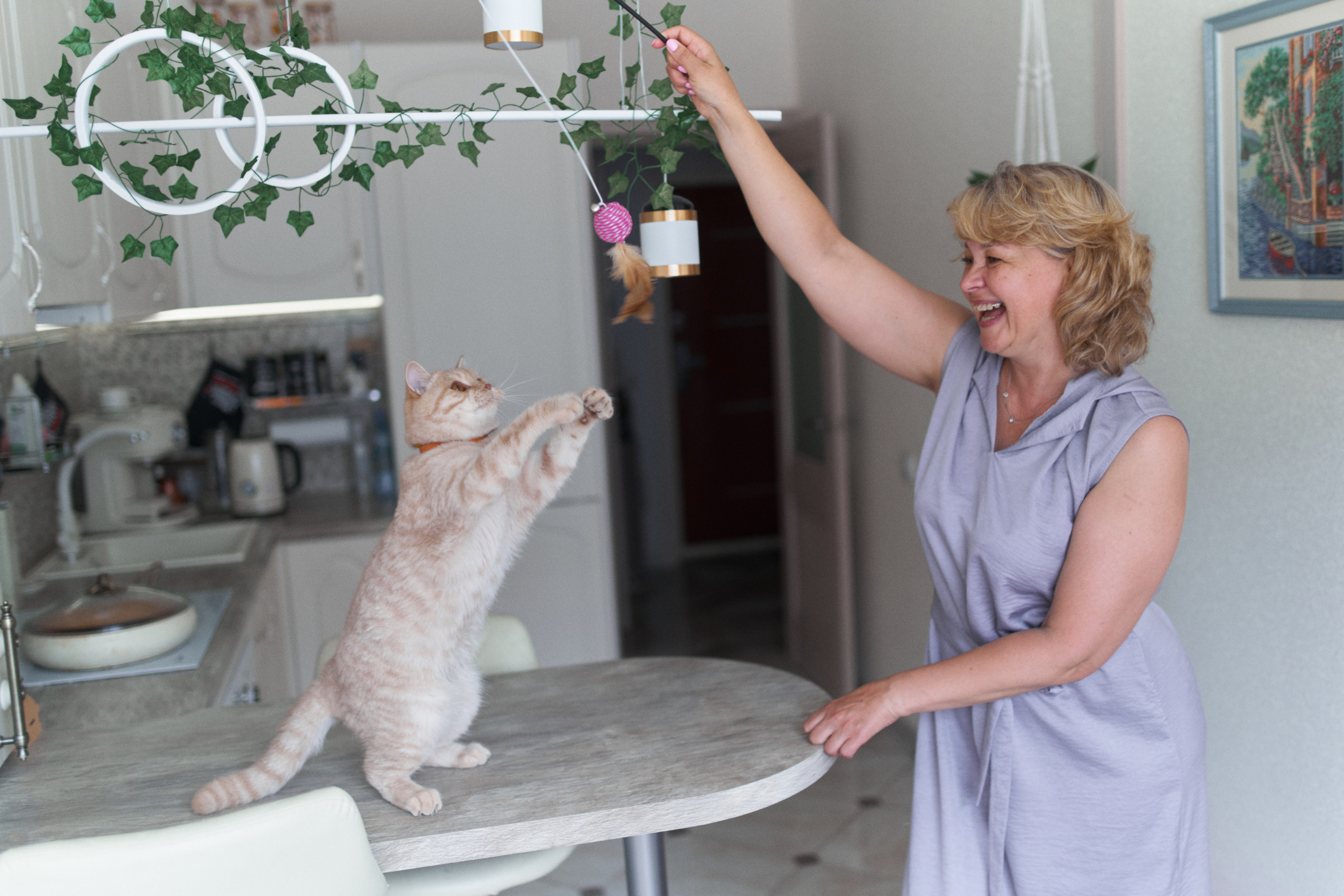 Фотосессия кота. Мужская фотосессия в СПб|Ирина Курманаева