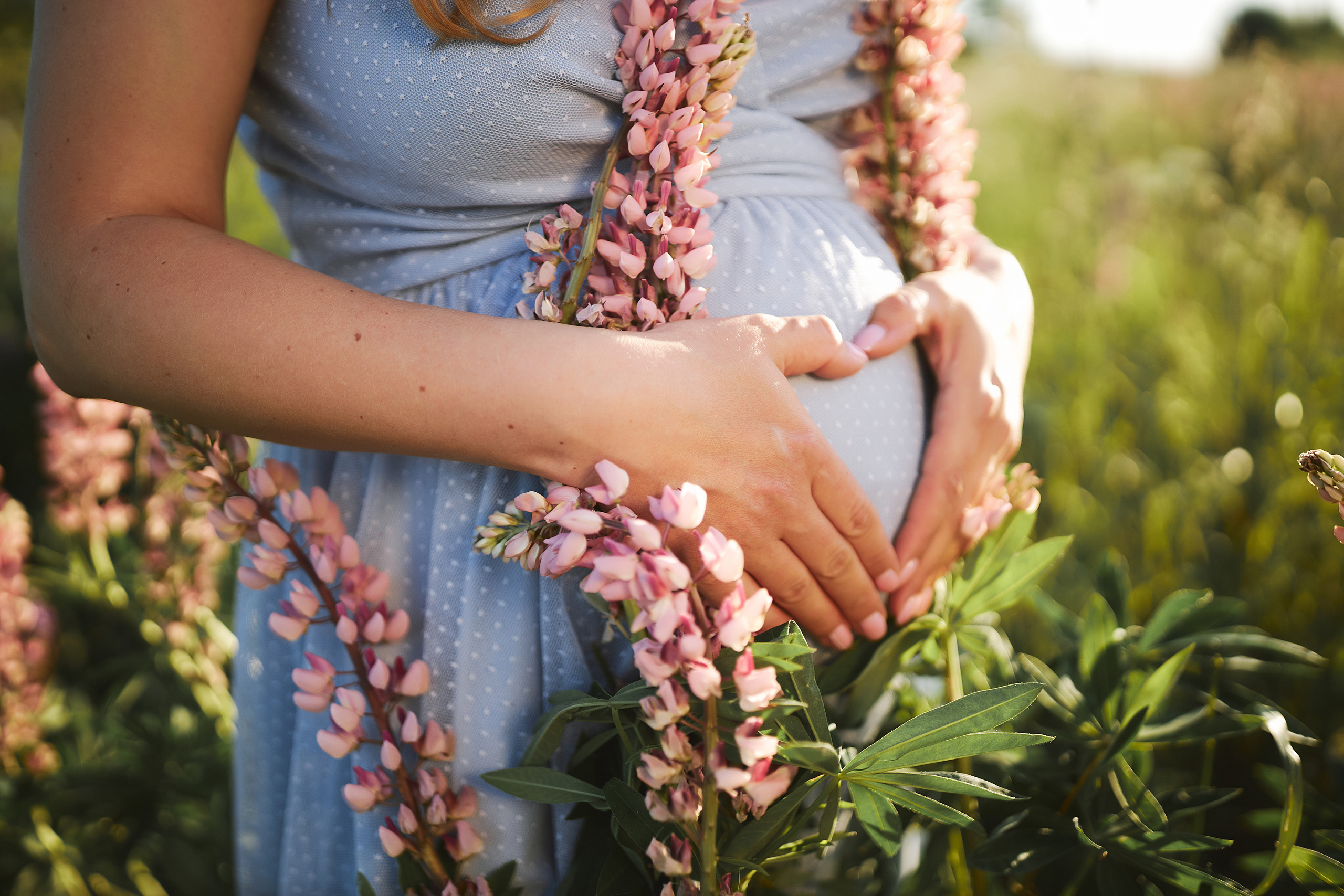 Люпины и любовь. Фотограф в Санкт-Петербурге Знаменская Ирина
