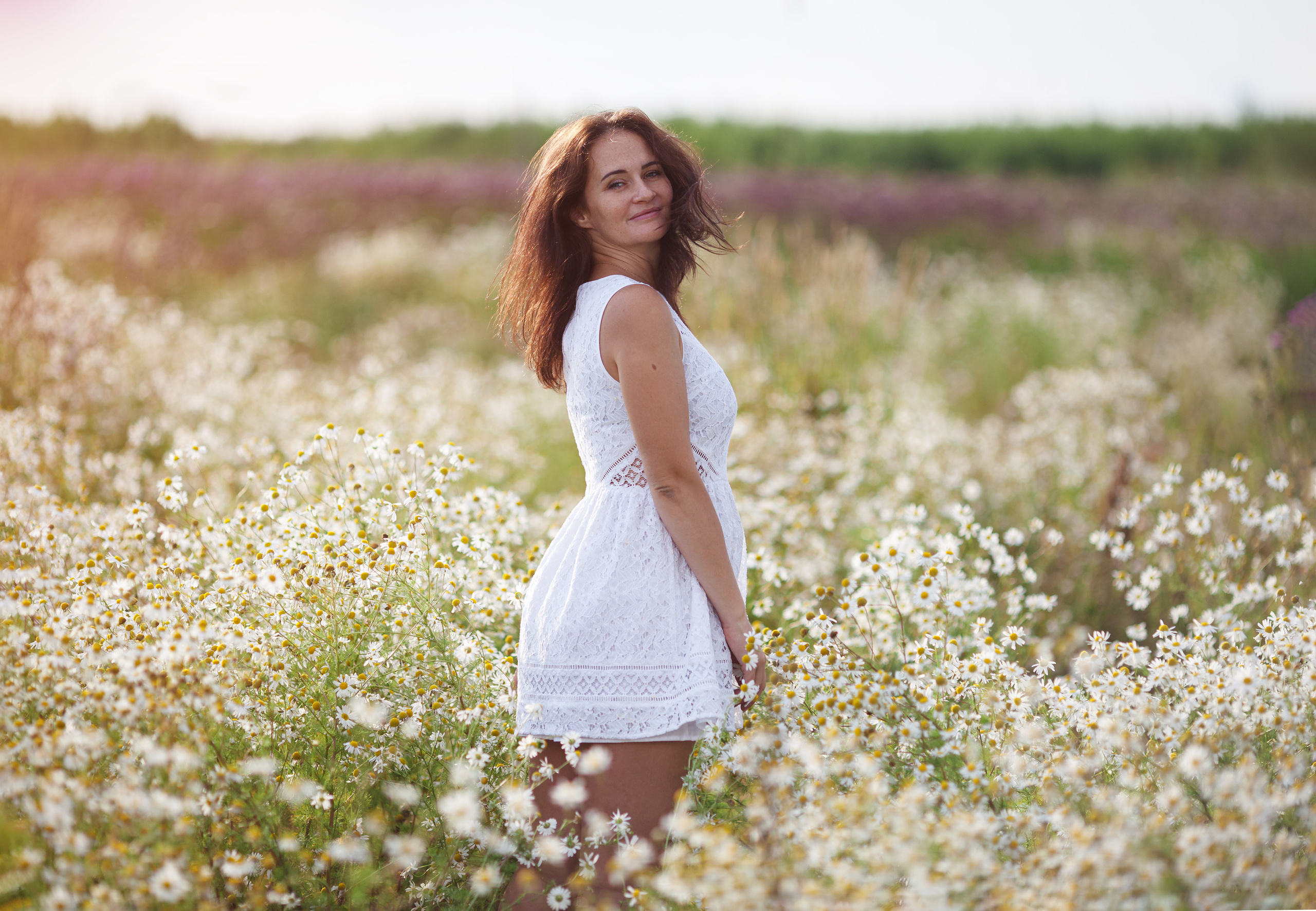 Ромашковое 3. Фотограф в Санкт-Петербурге Знаменская Ирина