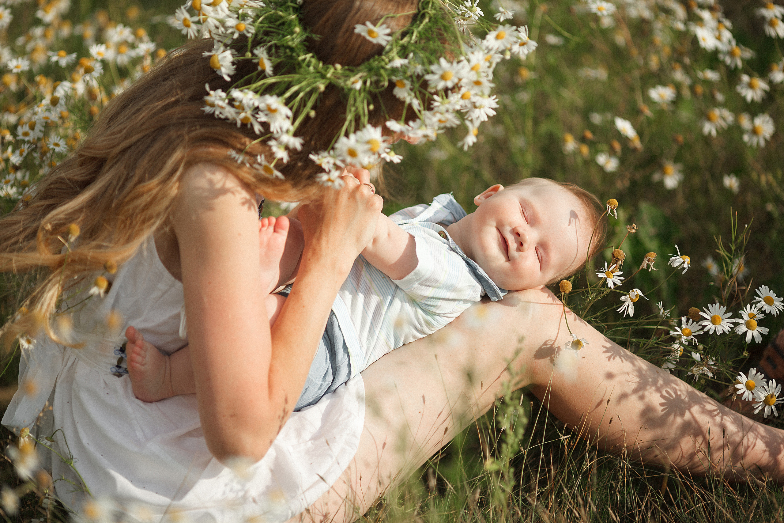 Раз ромашка, два ромашка…. Фотограф в Санкт-Петербурге Знаменская Ирина