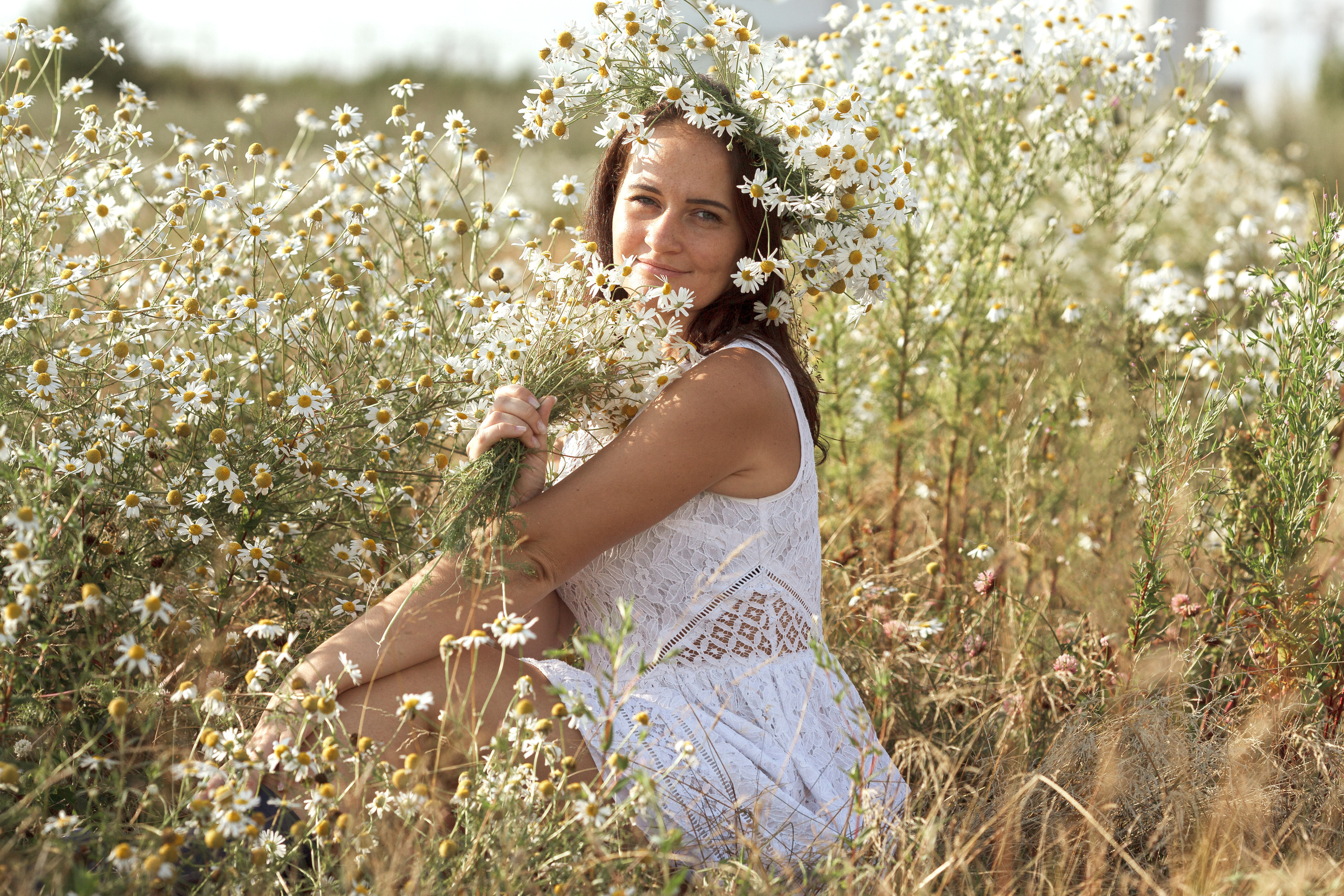 Ромашковое 3. Фотограф в Санкт-Петербурге Знаменская Ирина