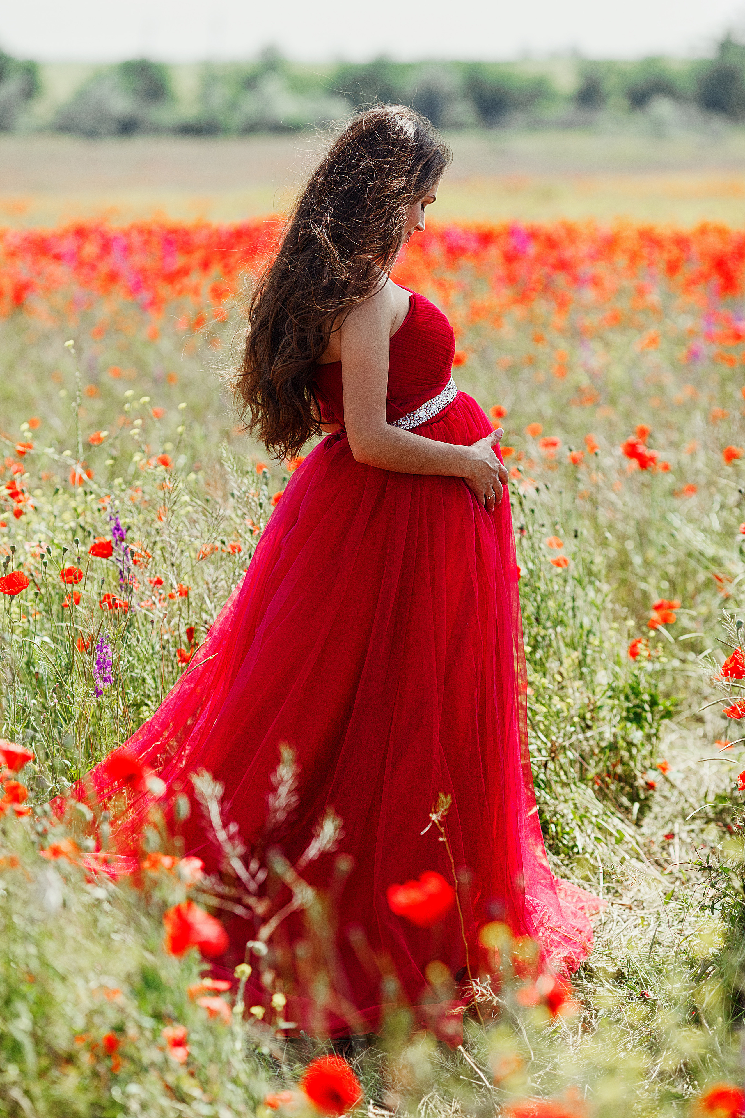 Маки Крыма. Фотограф в Санкт-Петербурге Знаменская Ирина