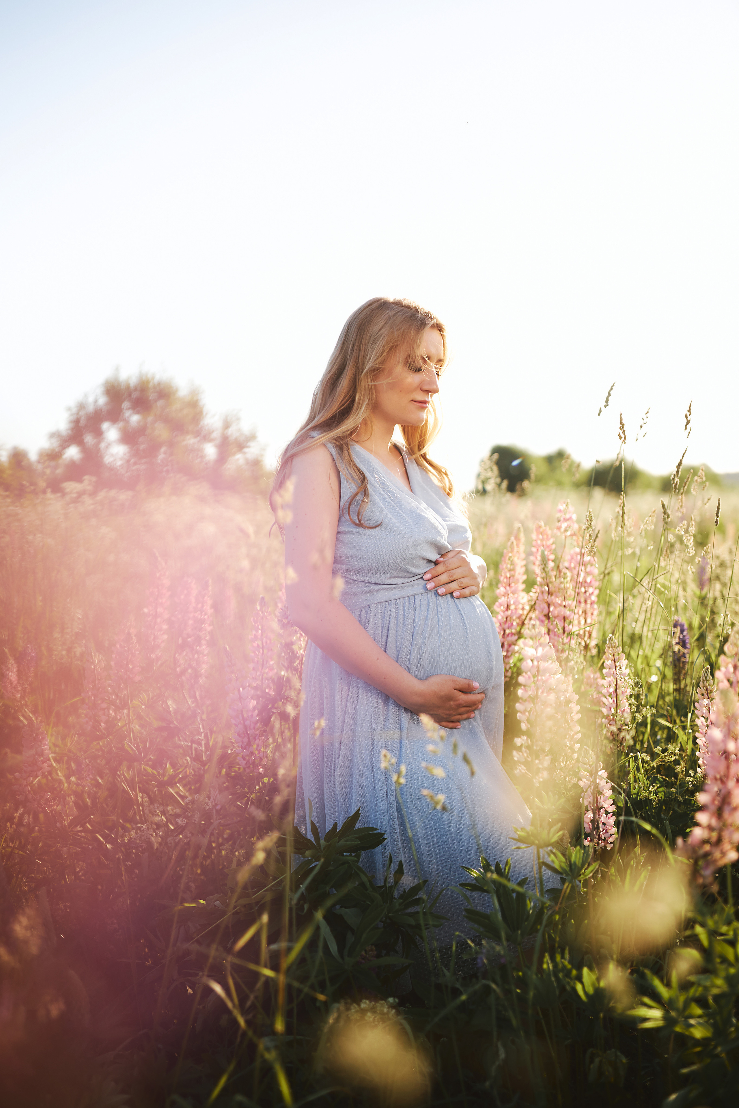 Люпины и любовь. Фотограф в Санкт-Петербурге Знаменская Ирина