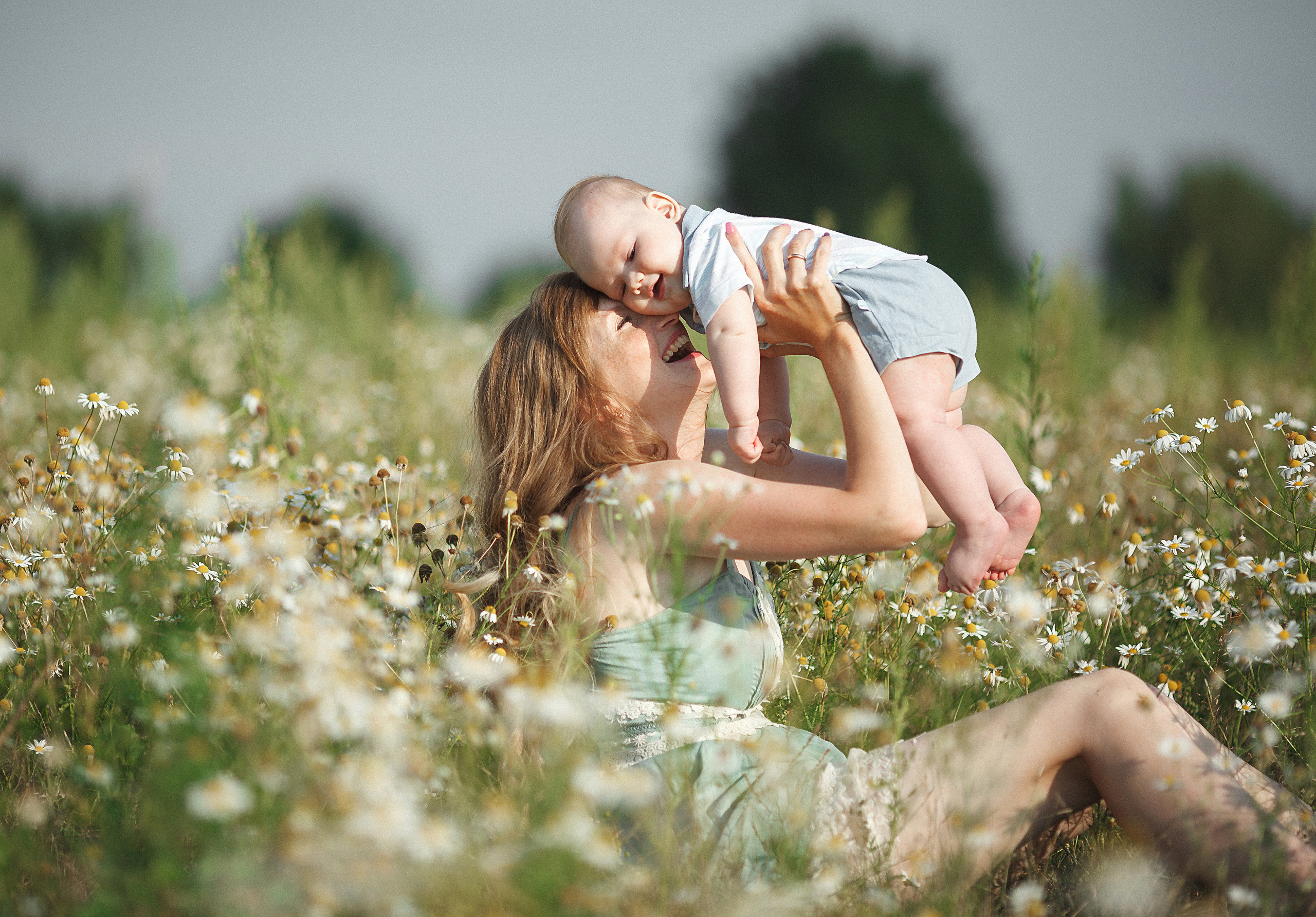 Раз ромашка, два ромашка…. Фотограф в Санкт-Петербурге Знаменская Ирина
