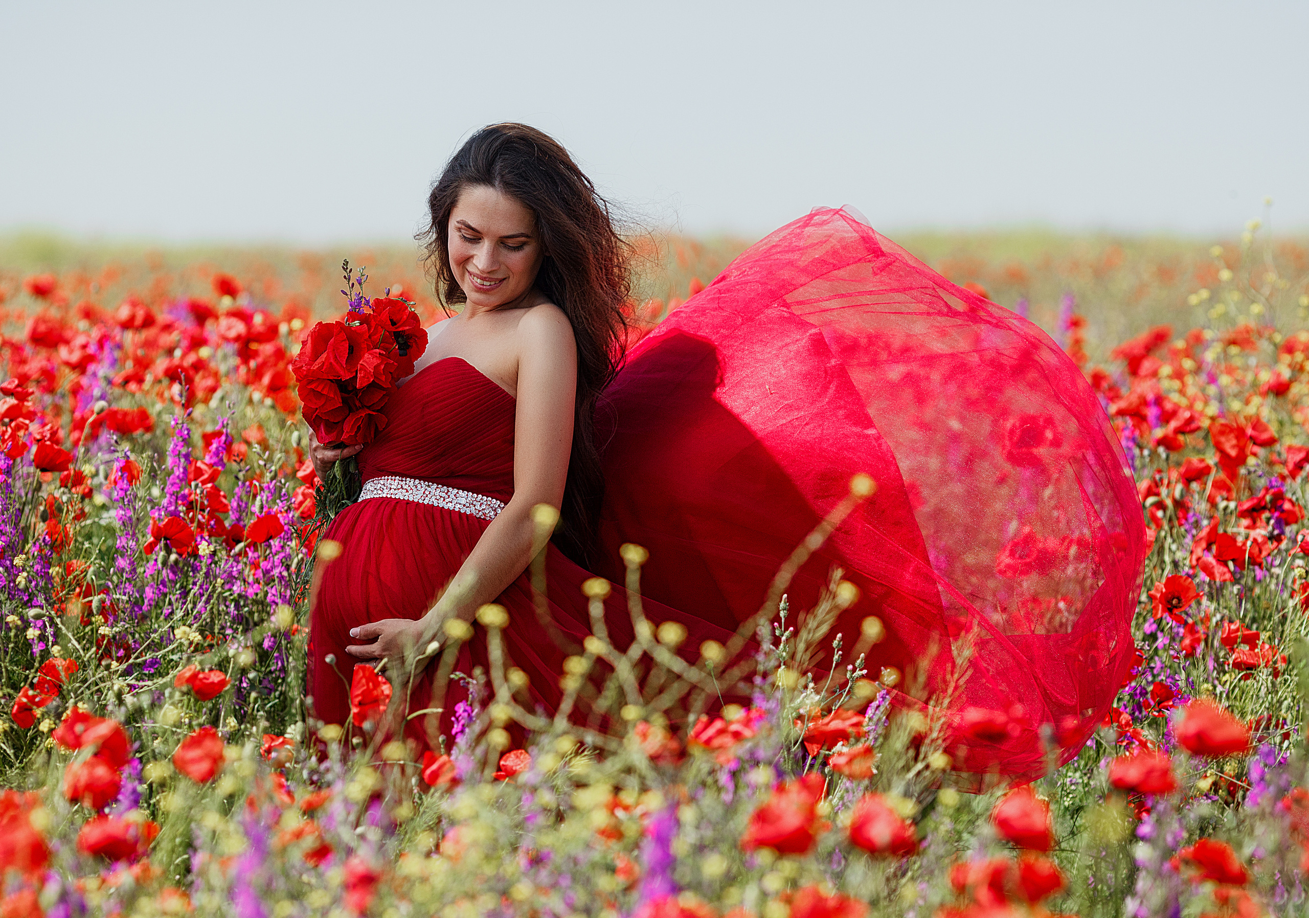 Маки Крыма. Фотограф в Санкт-Петербурге Знаменская Ирина