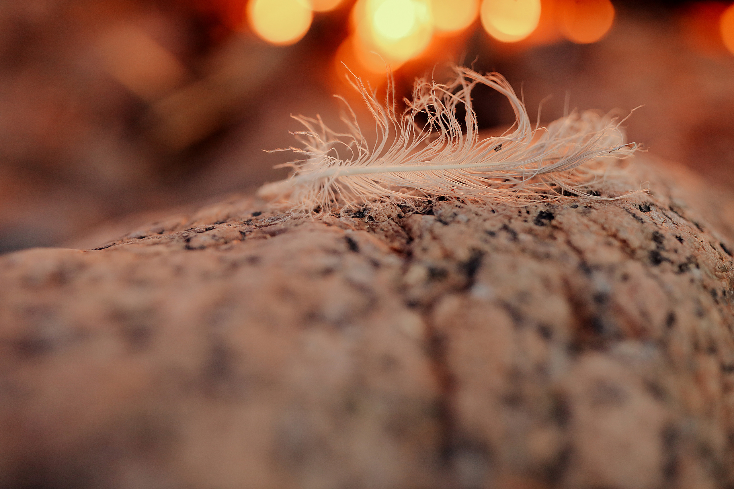 Любовь. Фотограф в Санкт-Петербурге Знаменская Ирина