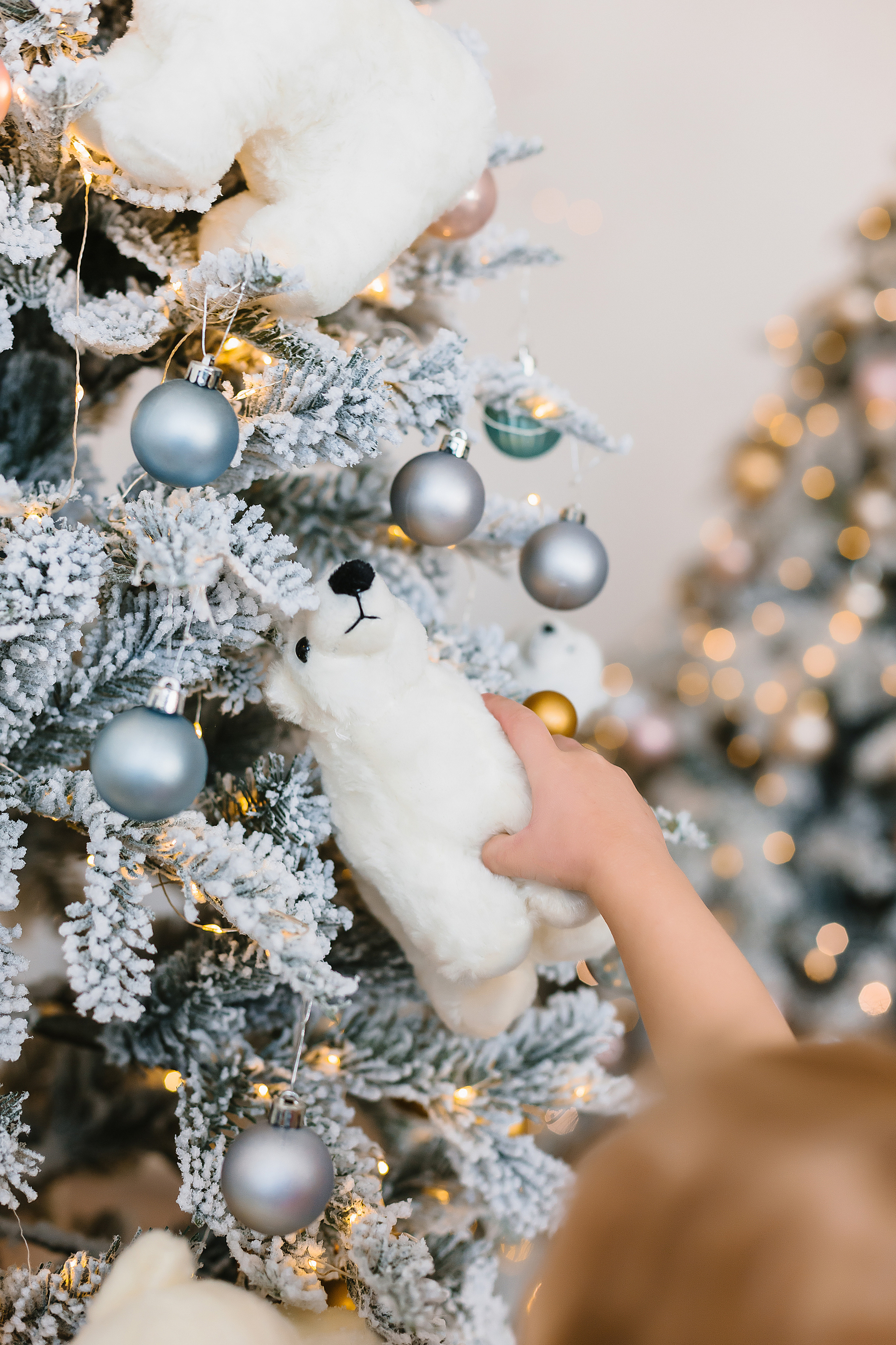 Новогодний фотодень. Фотограф Бурятии София Андриянова