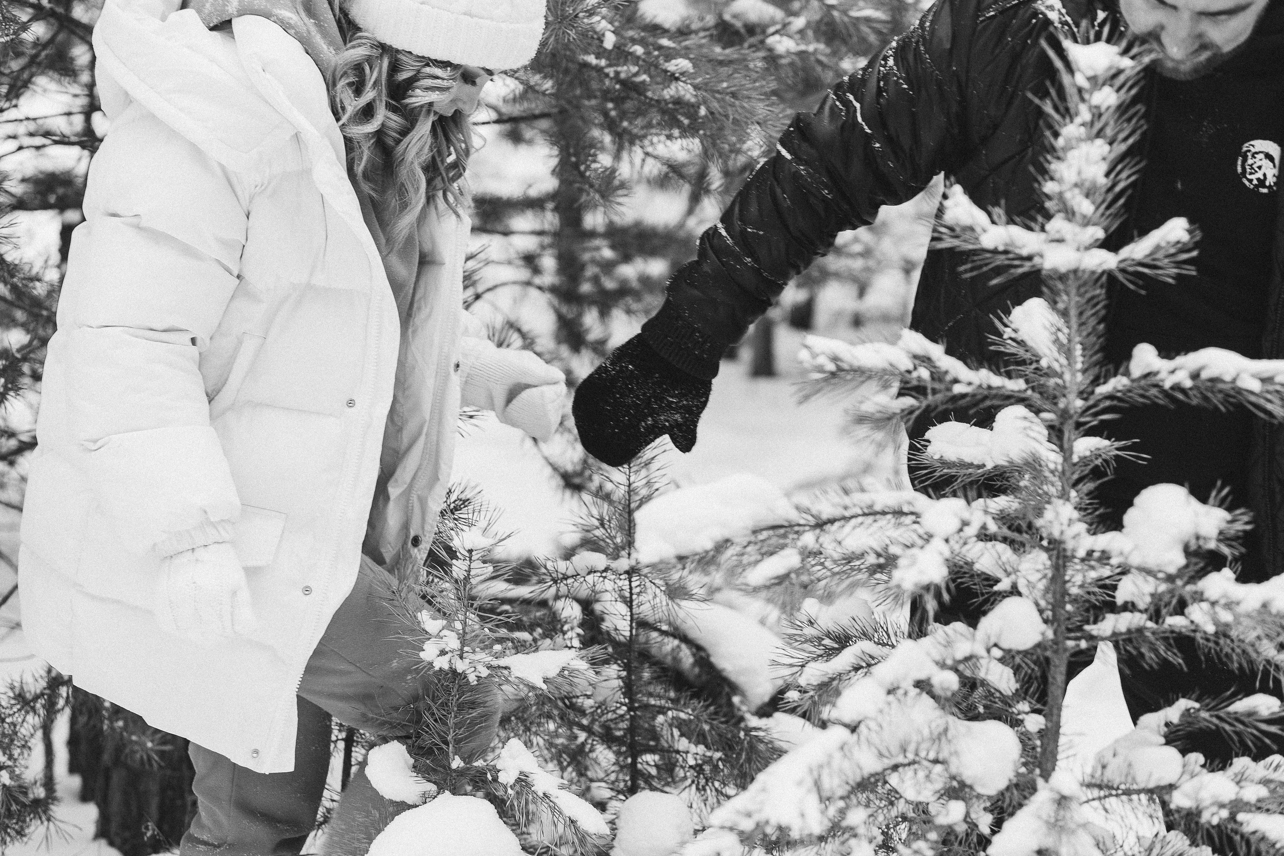 Зимняя сказка. Фотограф Бурятии София Андриянова
