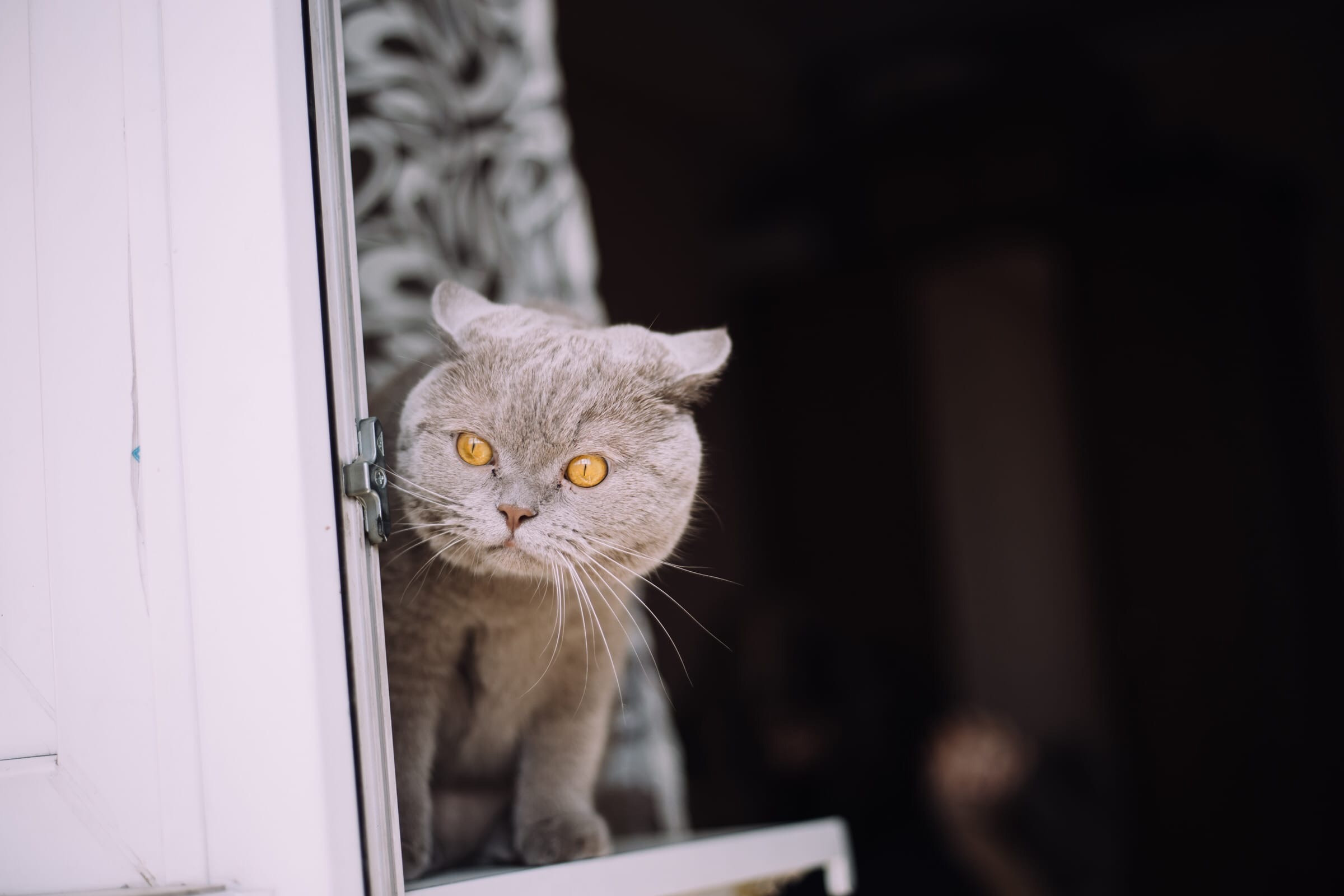 Теперь трое. Фотограф Бурятии София Андриянова