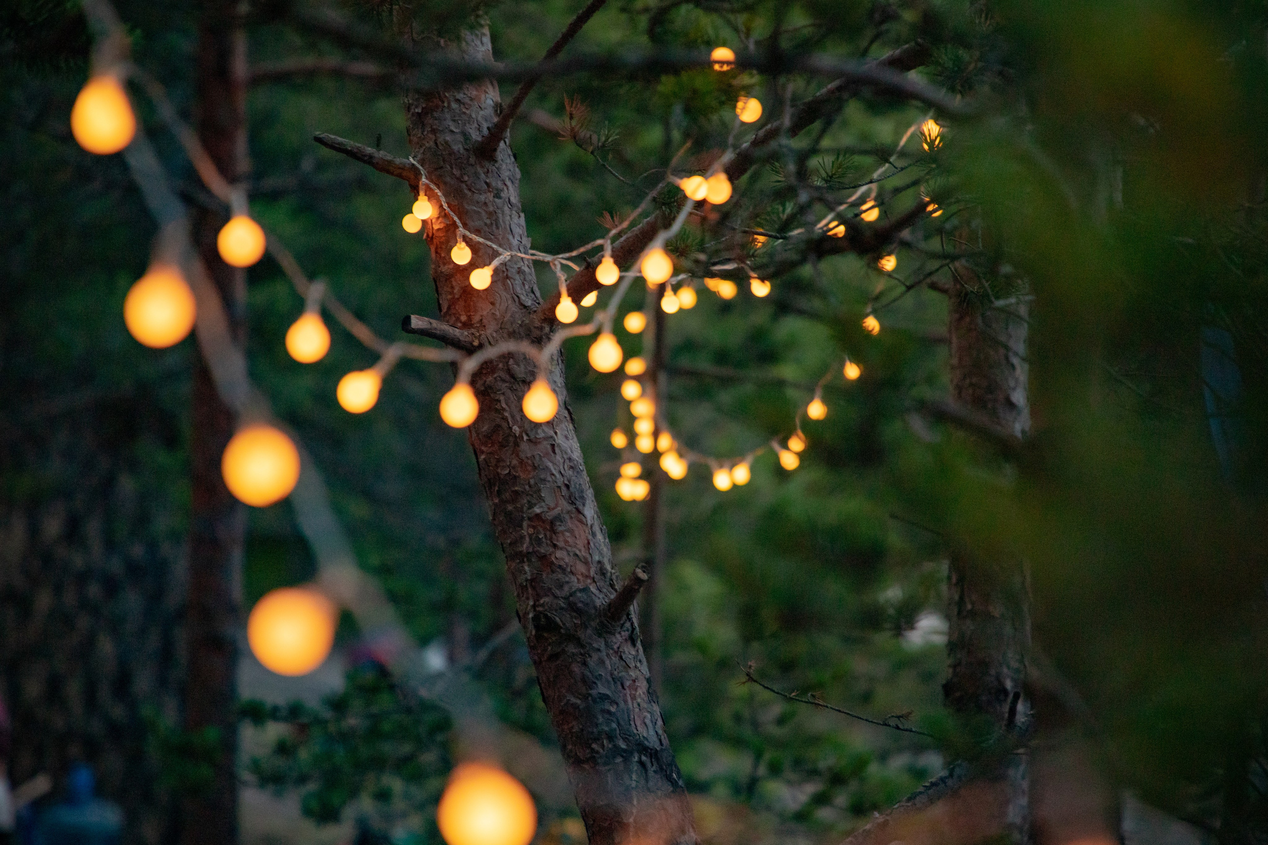 Ладога. Фотограф Алексей Шуля — портфолио