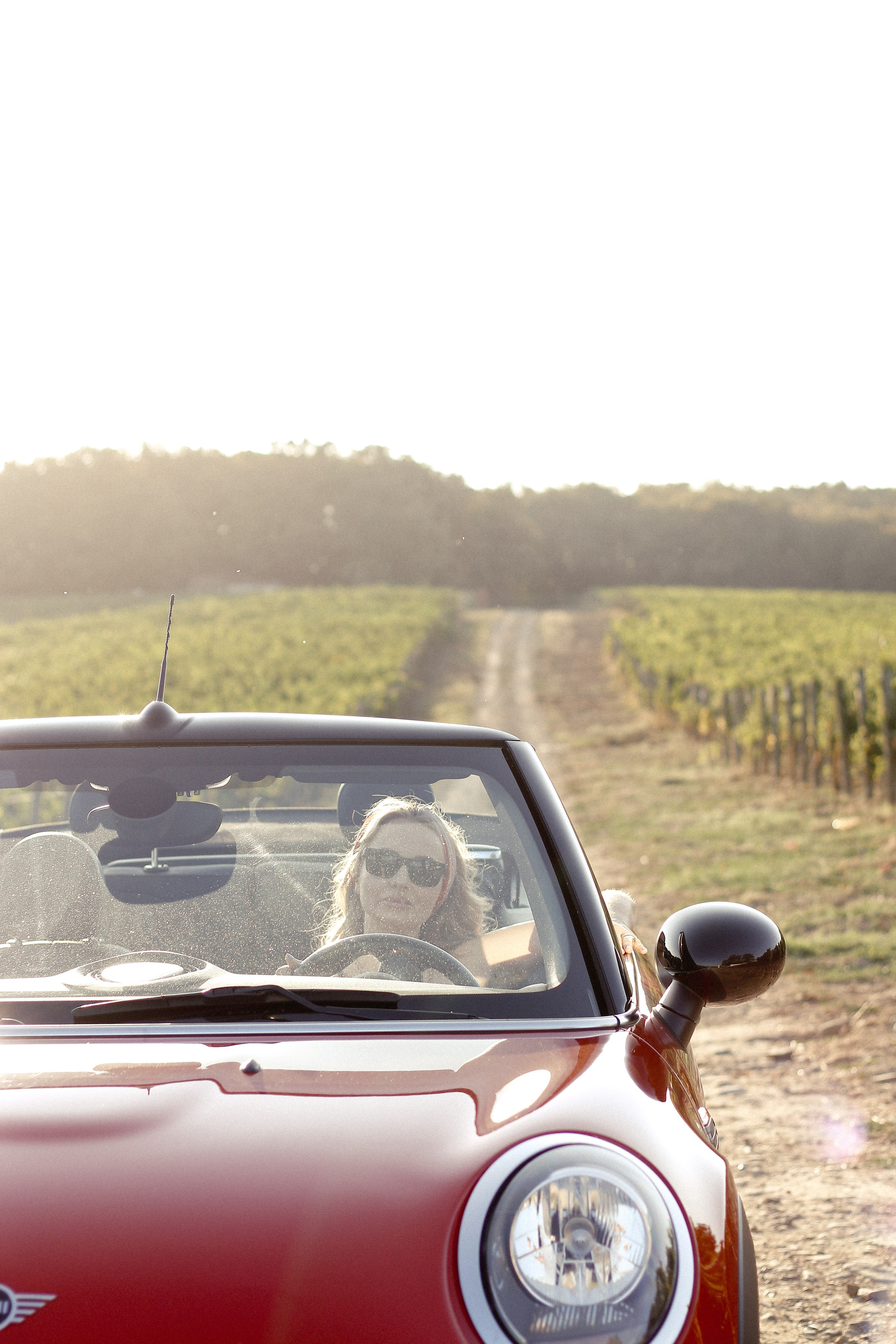 Елена. Фотограф Краснодар