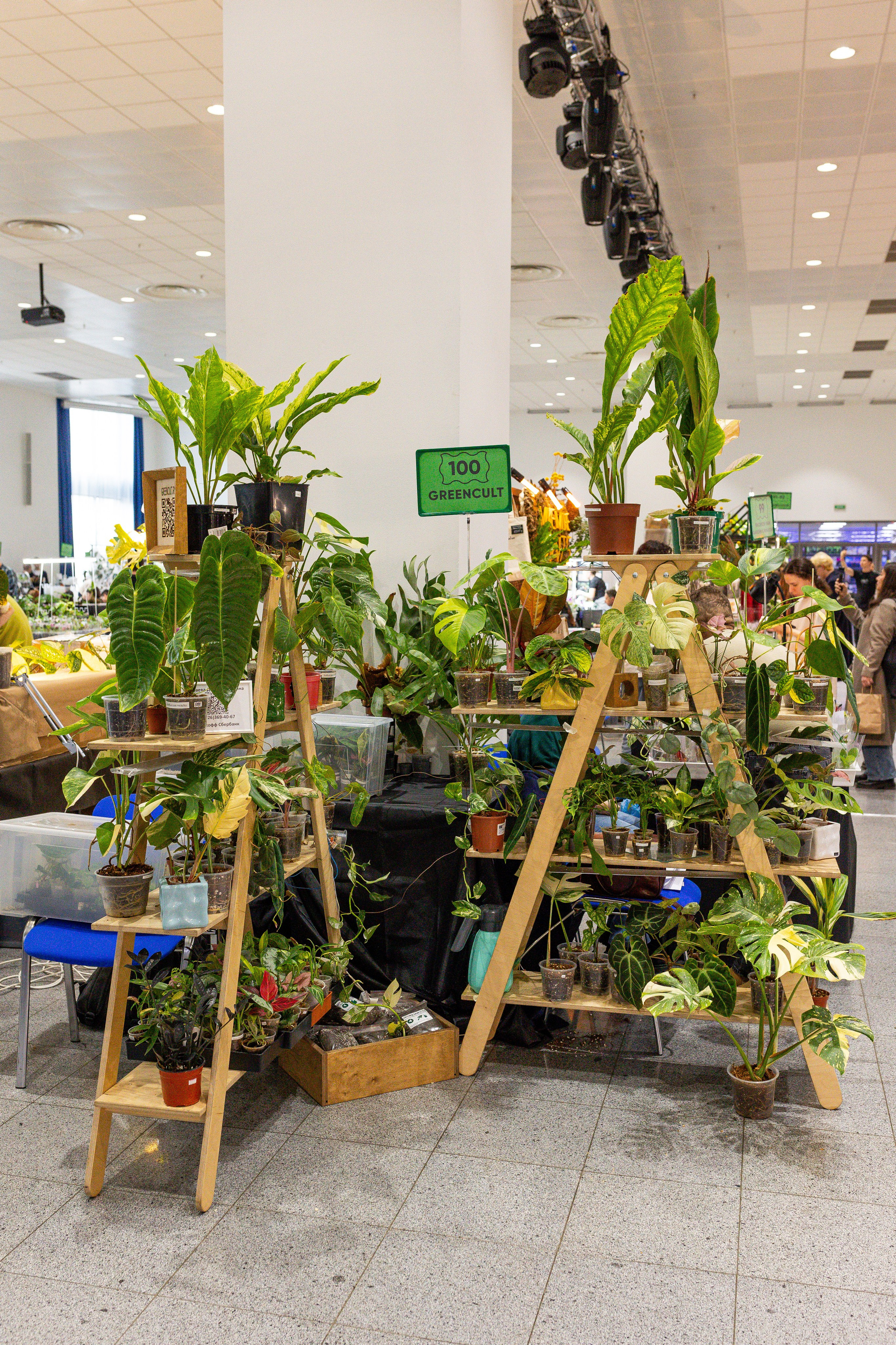 Монстериум апрель 2025. Александра Куликова фотограф, Москва