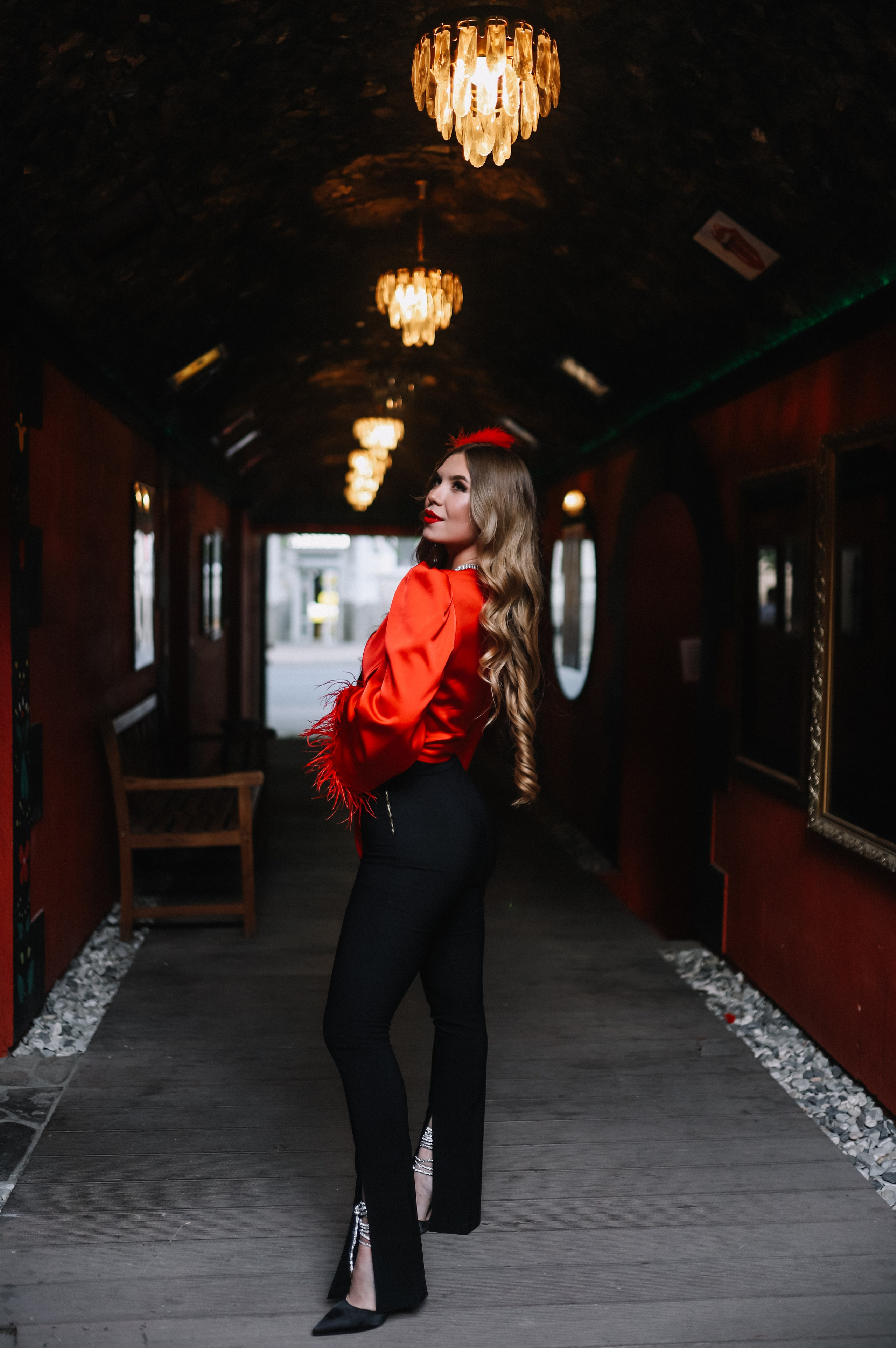 25.Диана и гости