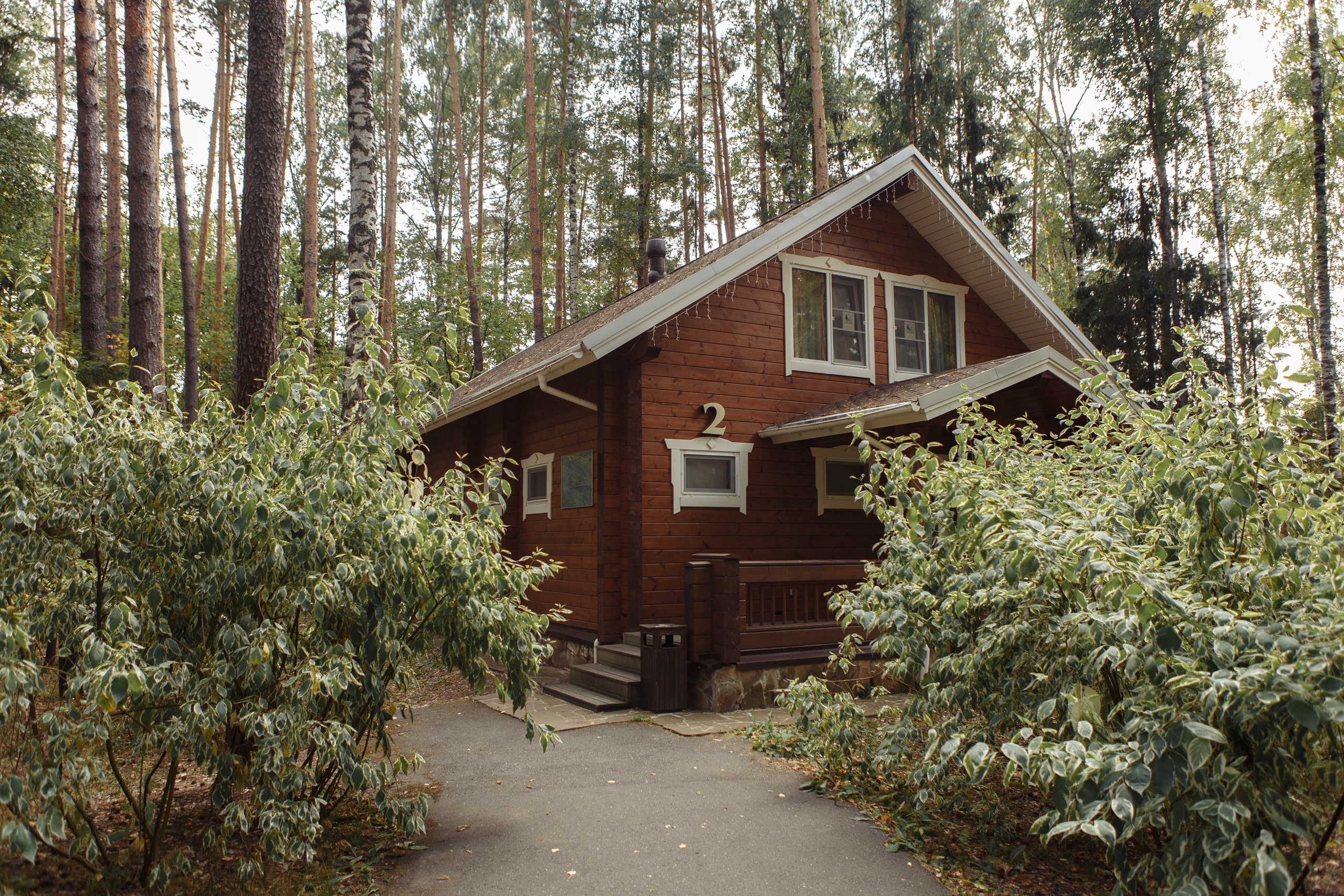Полина и Иван. Свадебный и семейный фотограф Ольга Сморжанюк