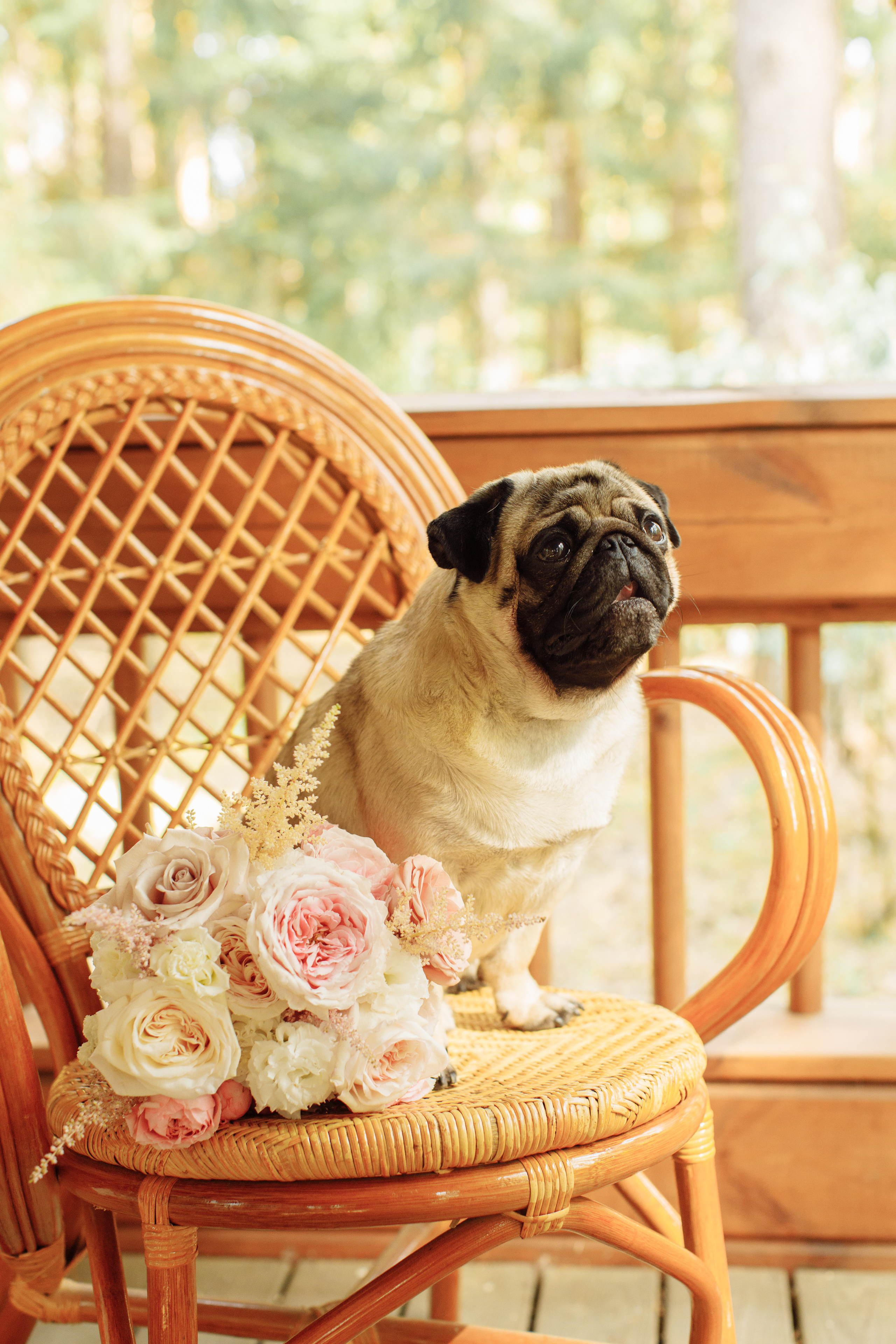 Полина и Иван. Свадебный и семейный фотограф Ольга Сморжанюк