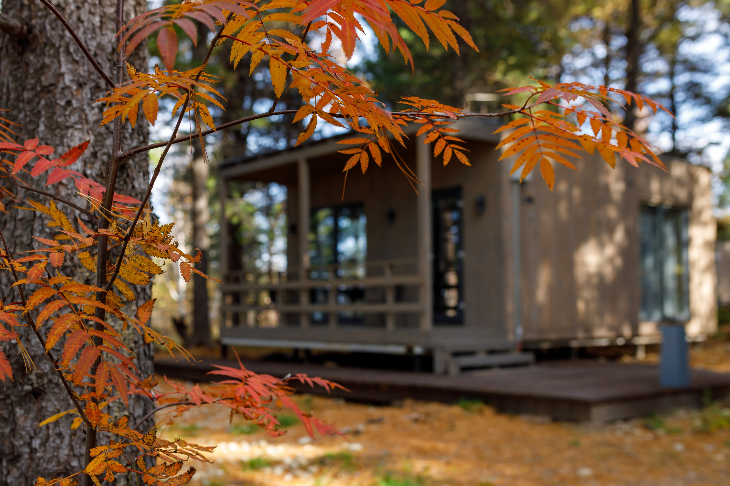 Экстерьерная съемка. Интерьерный, предметный и контент фотограф в Иркутске Наталья Карпова