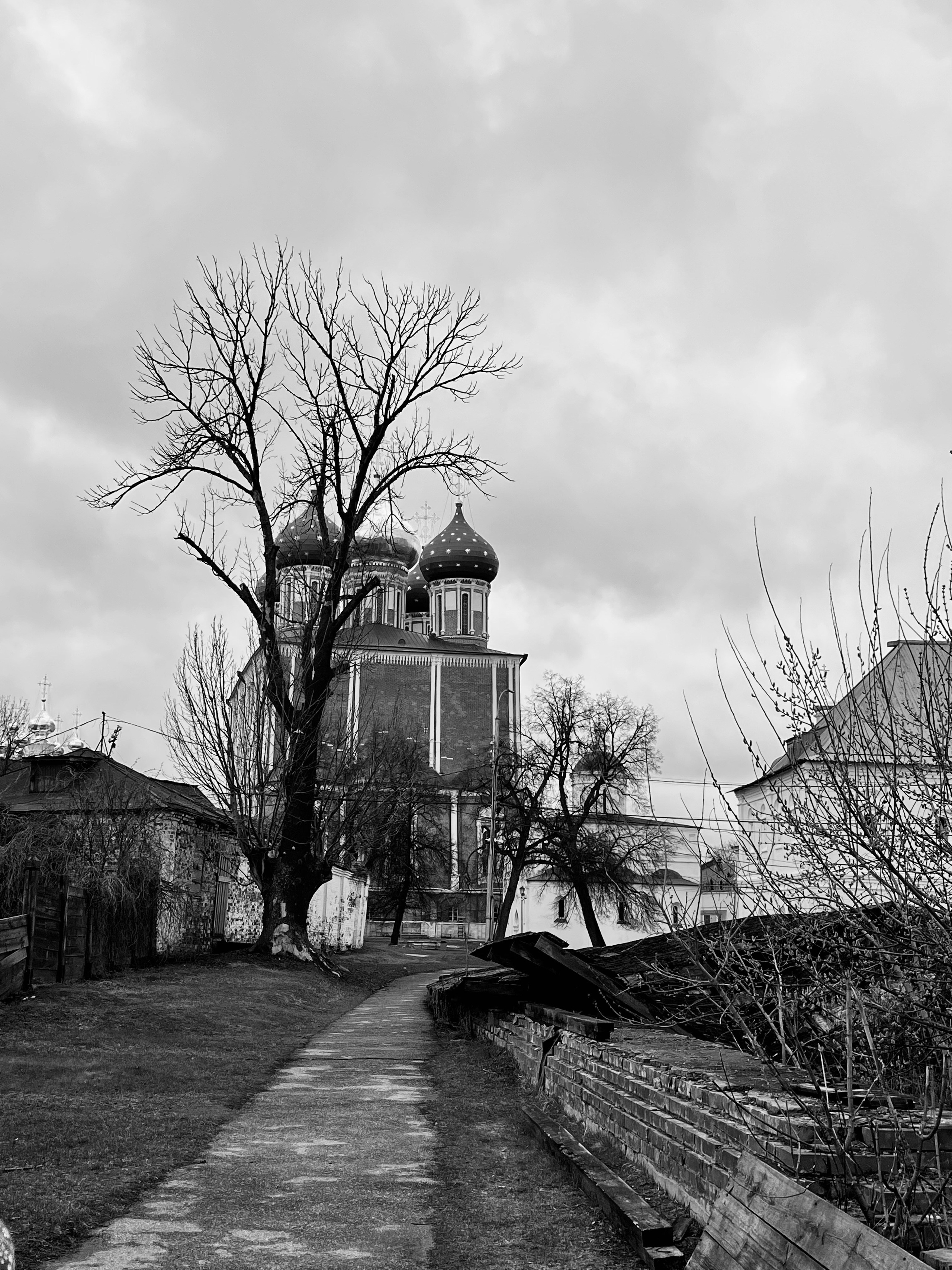 Рязань, 2025. Портретный фотограф в Москве Евгения Яковенко