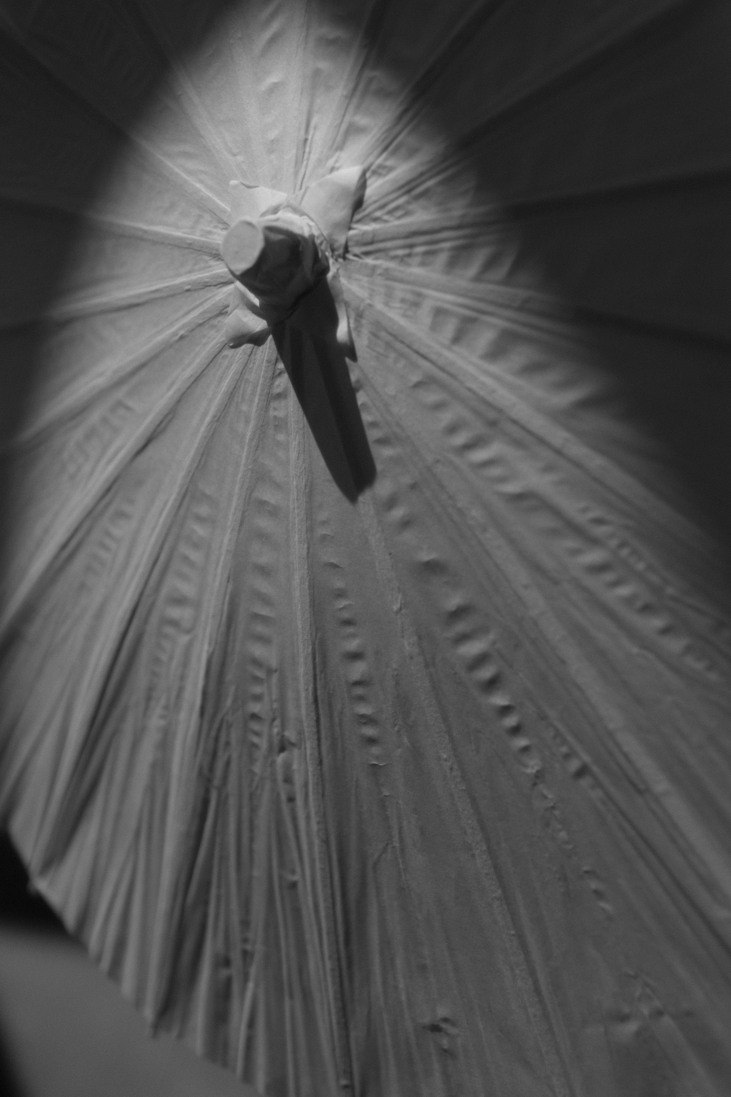 Полина & Евгений. Свадебный и семейный фотограф в Красноярске