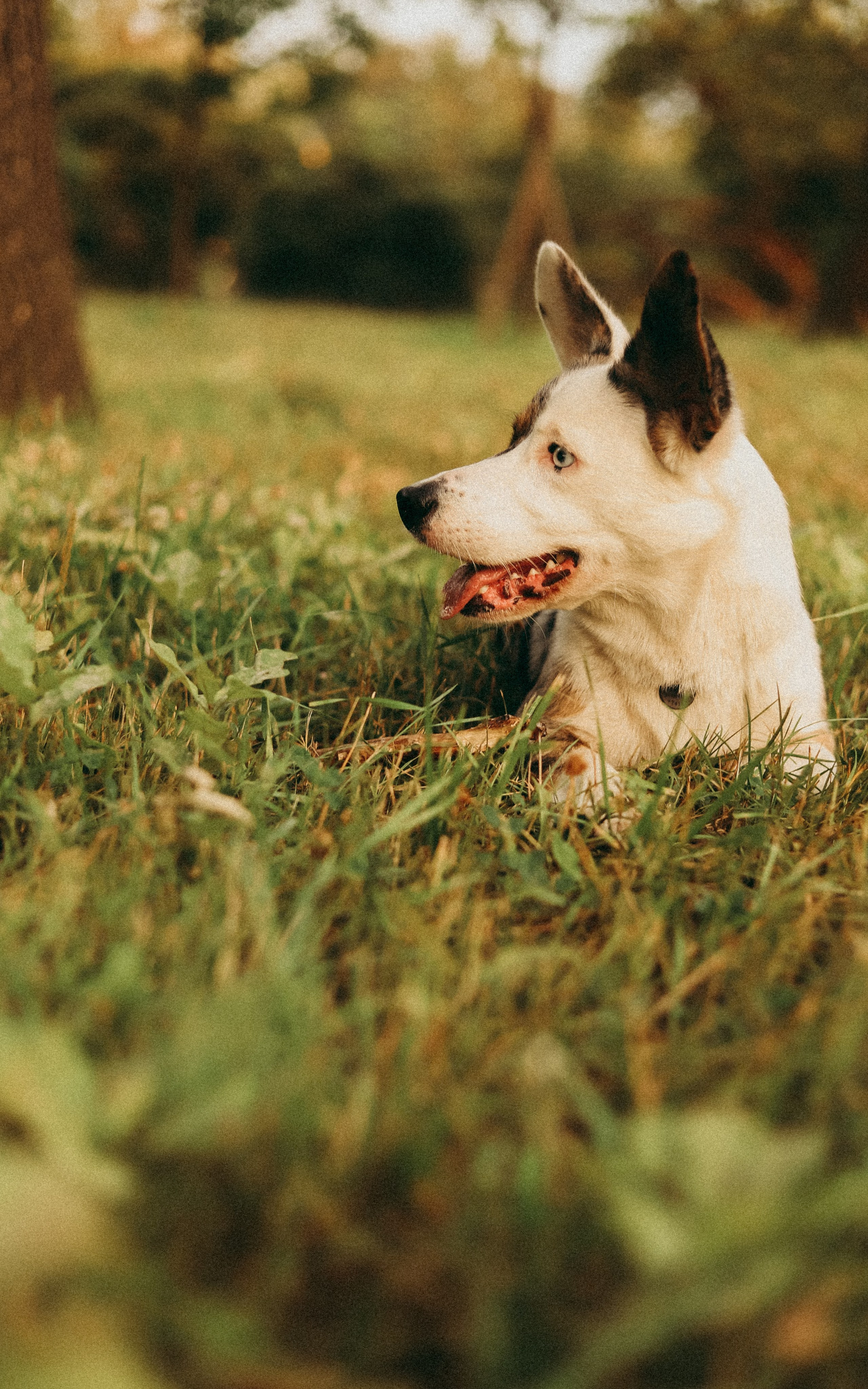 1. Фотограф Москва и Санкт-Петербург