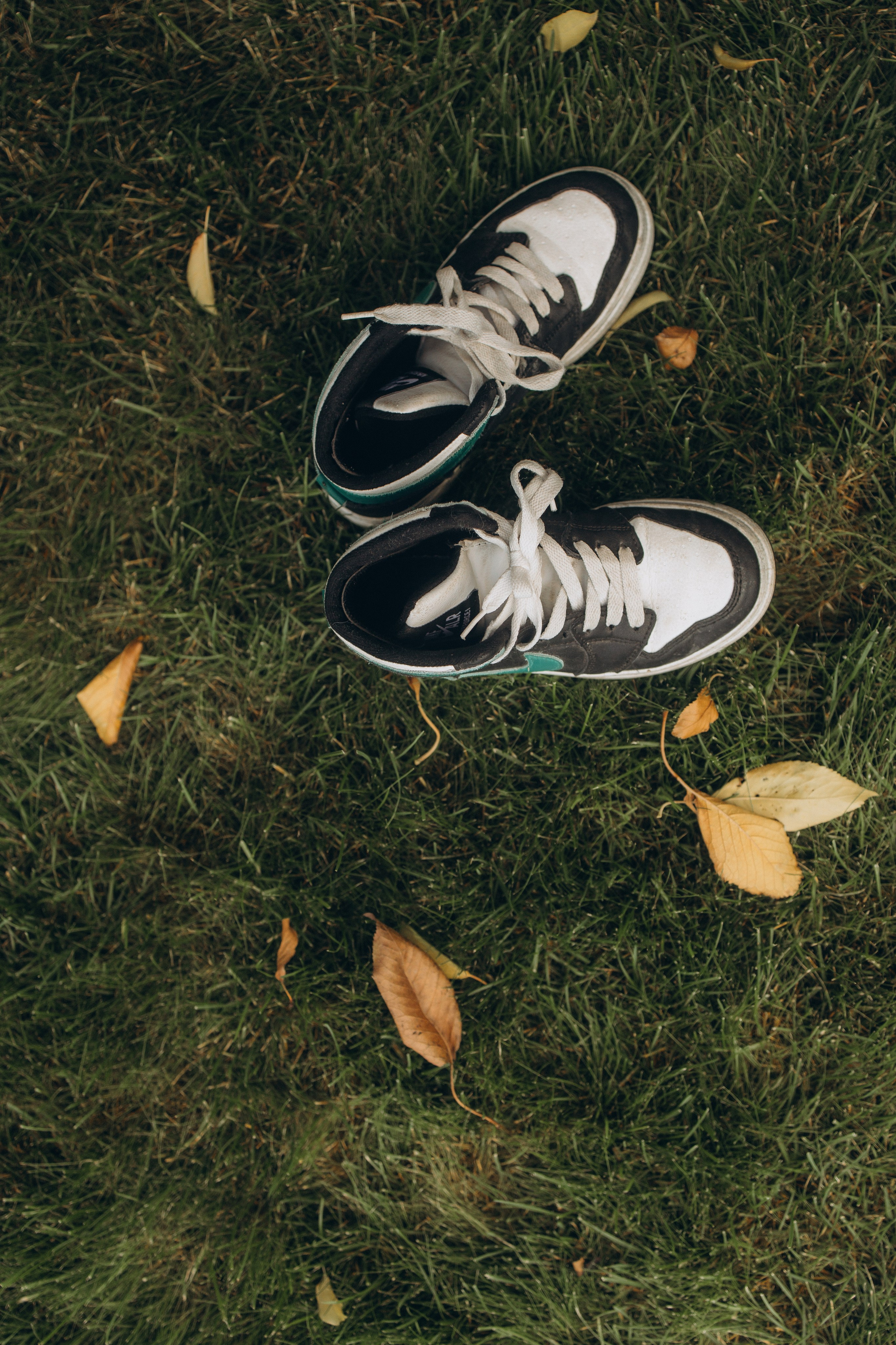 Дом как целая Вселенная. Семейный фотограф и видеограф Донецк/Москва