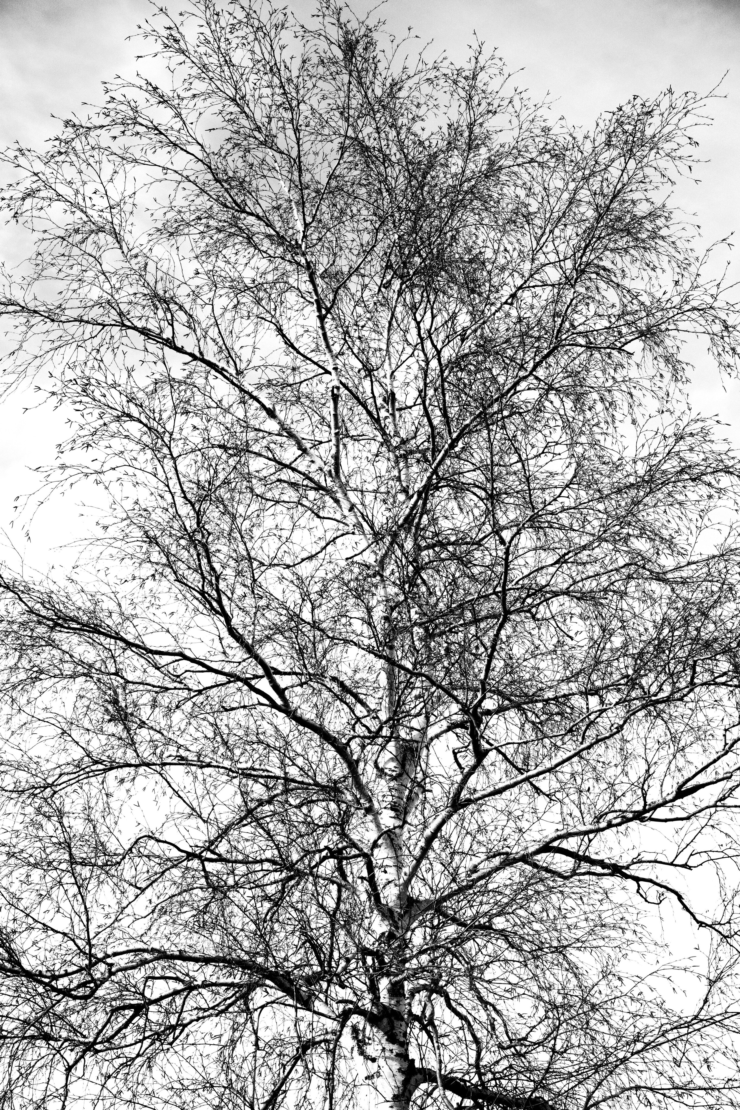 Пейзажи. Репортажный и семейный фотограф — Шелихов Сергей