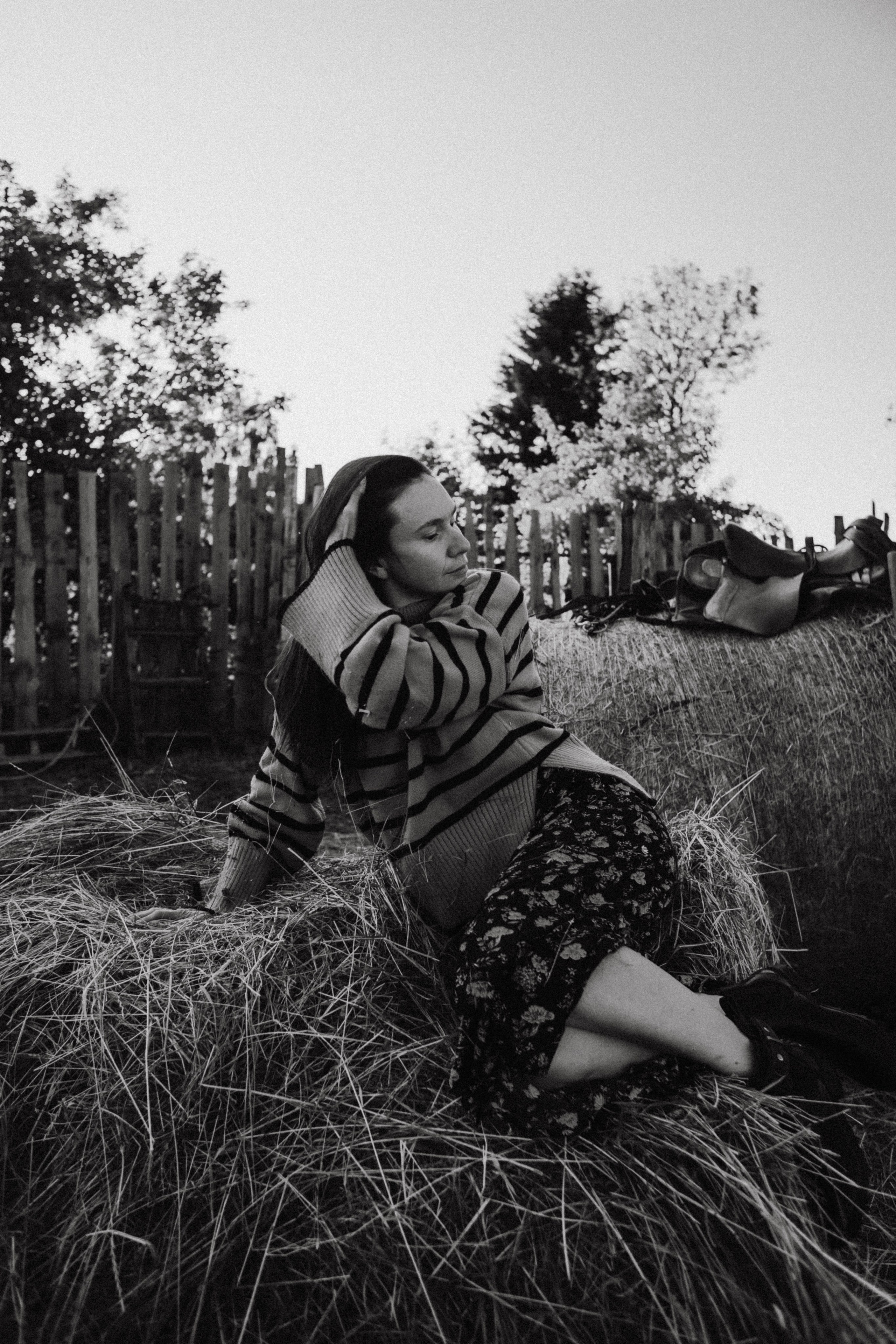 Варвара. Лошади. Закат. Фотограф в Нижнем Новгороде