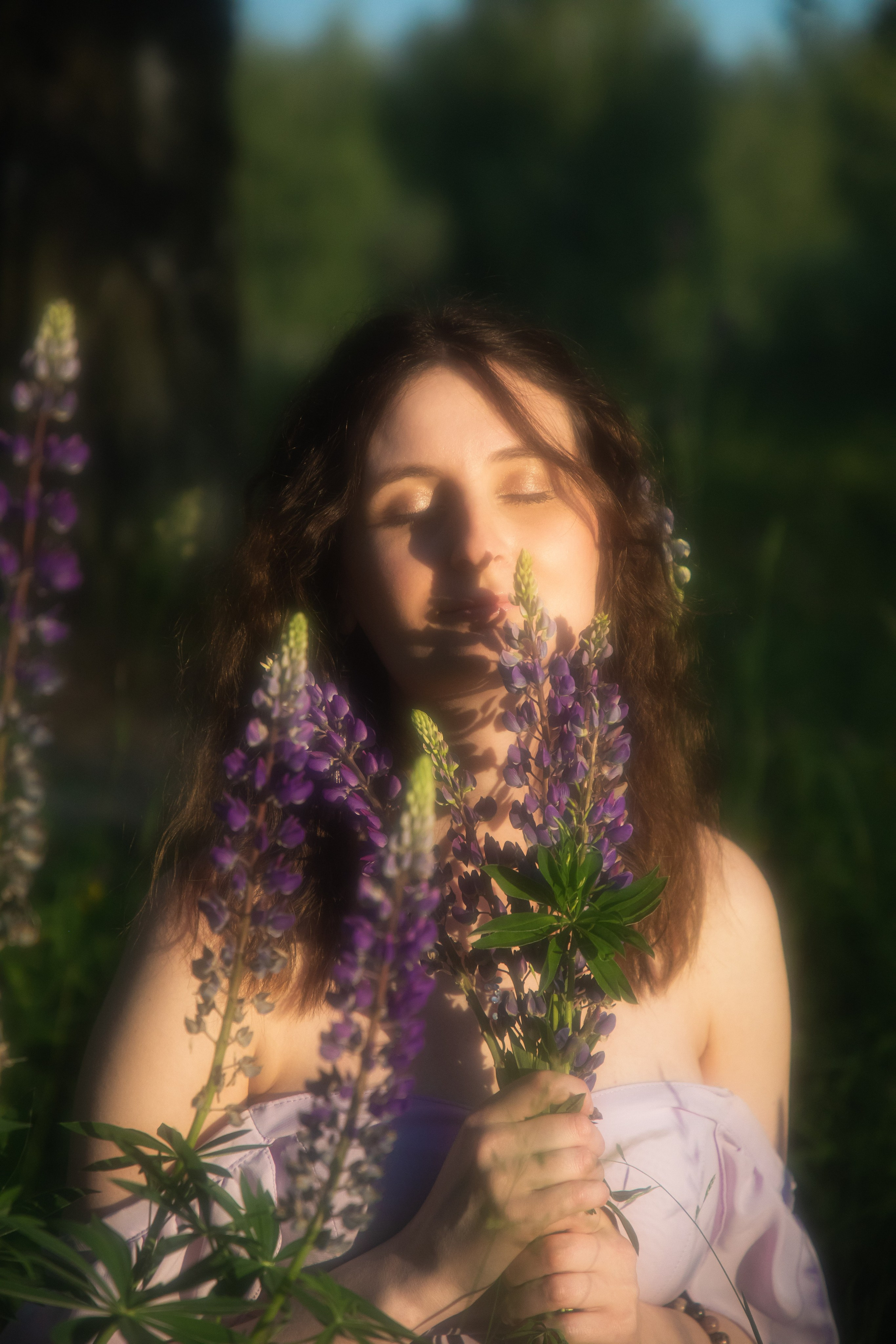 Люпиновое поле. Юлия Башкатова, сказочный фотограф, Москва