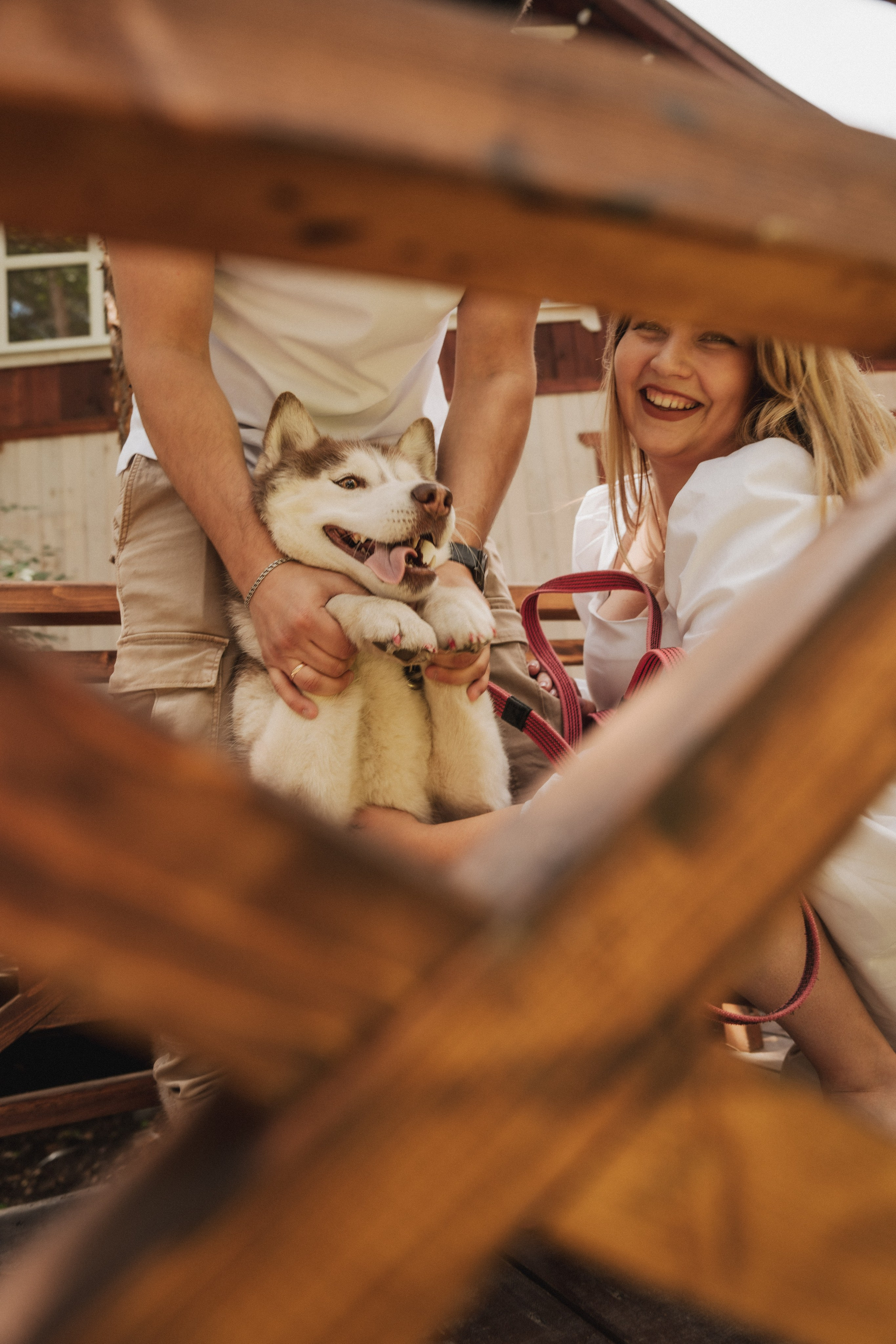 Дарья ♡ Максим ✧ Чоки — История любви, когда в семье есть хаски. Свадебный и портретный фотограф в Москве, Светлана Янковая