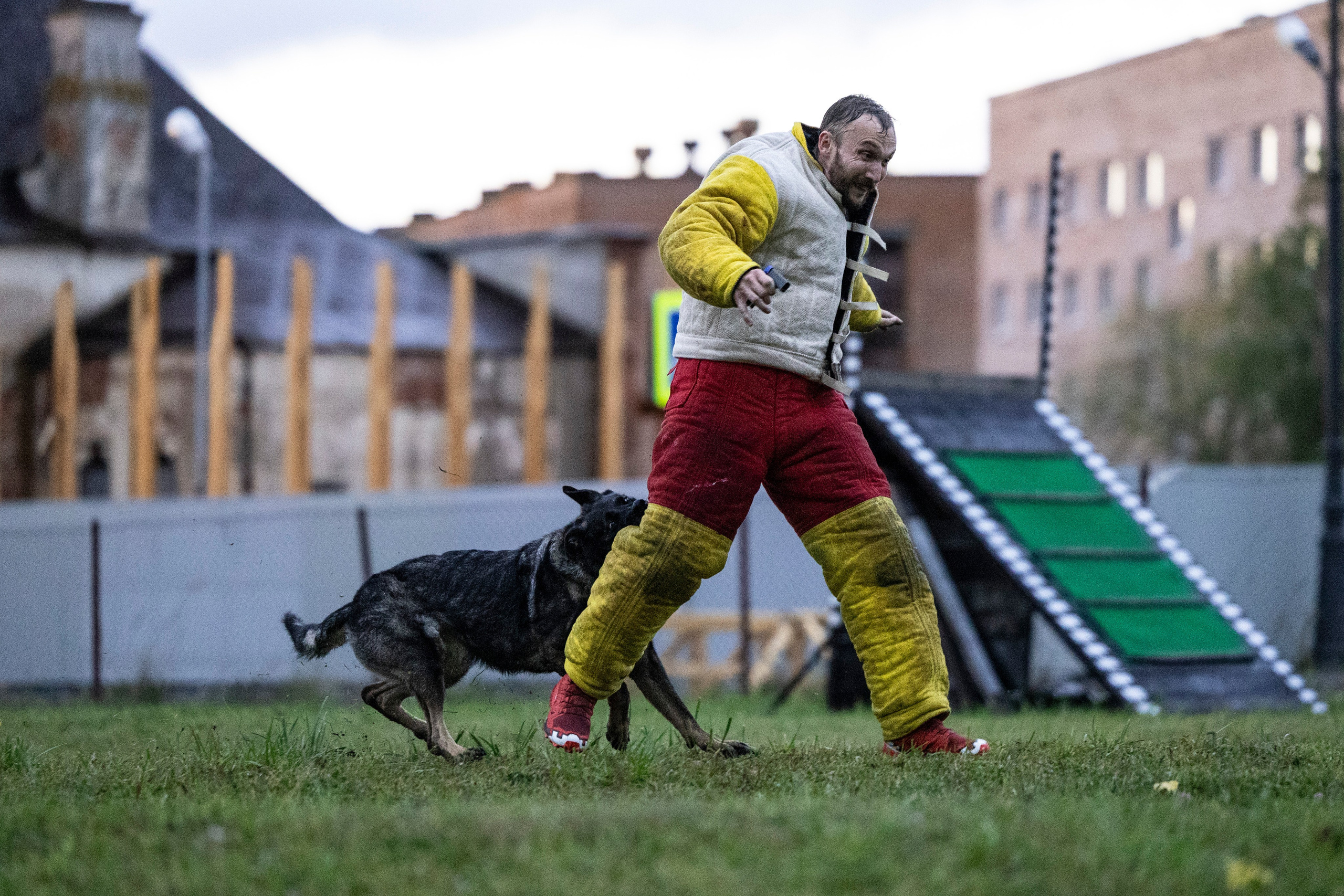 Испытания по Мондьорингу г. Пушкин. Фотограф-анималист Анна Маринич