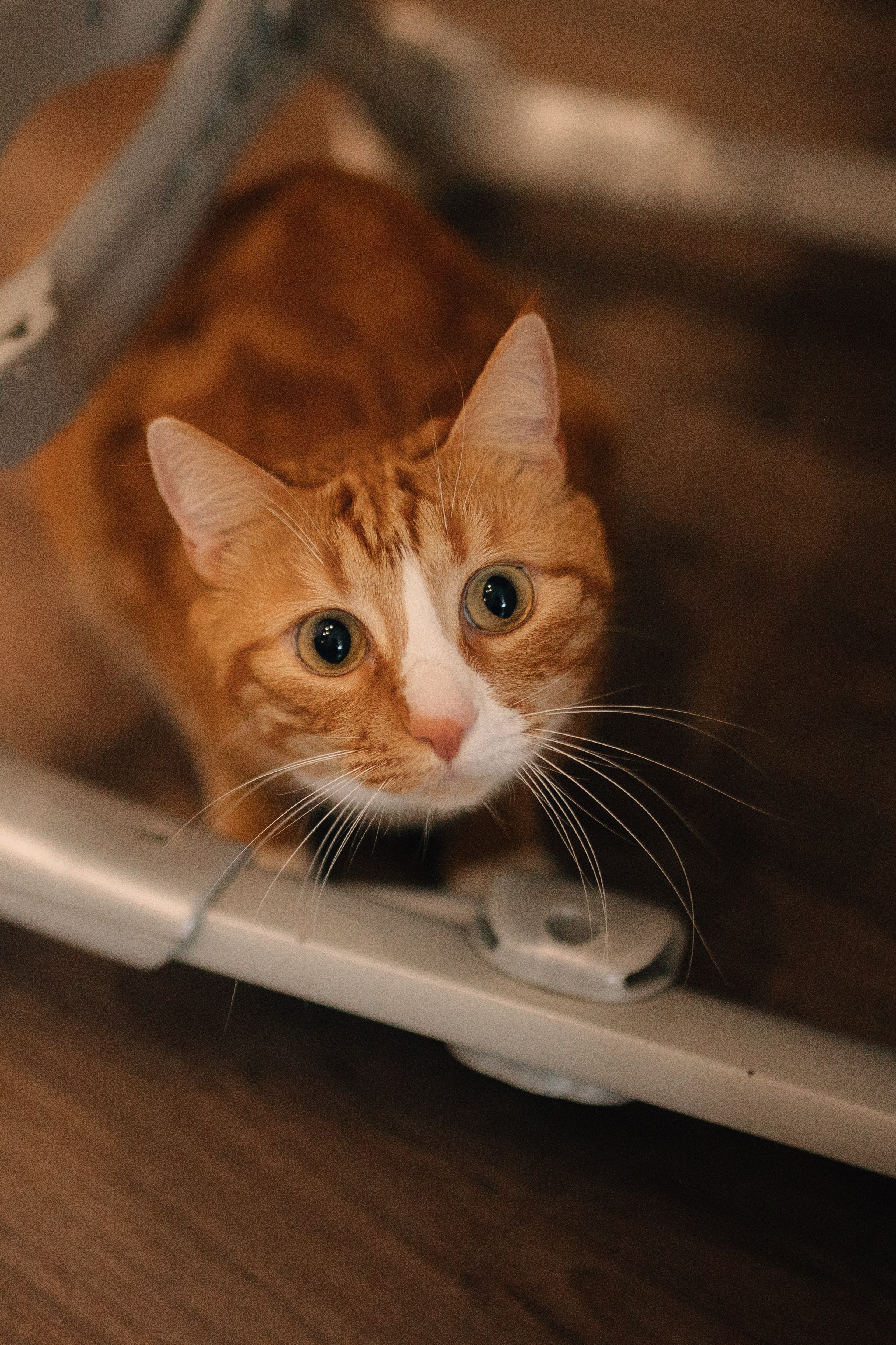 Домашние съемки. Фотограф Владивосток | Фотокниги на заказ с доставкой по всей России