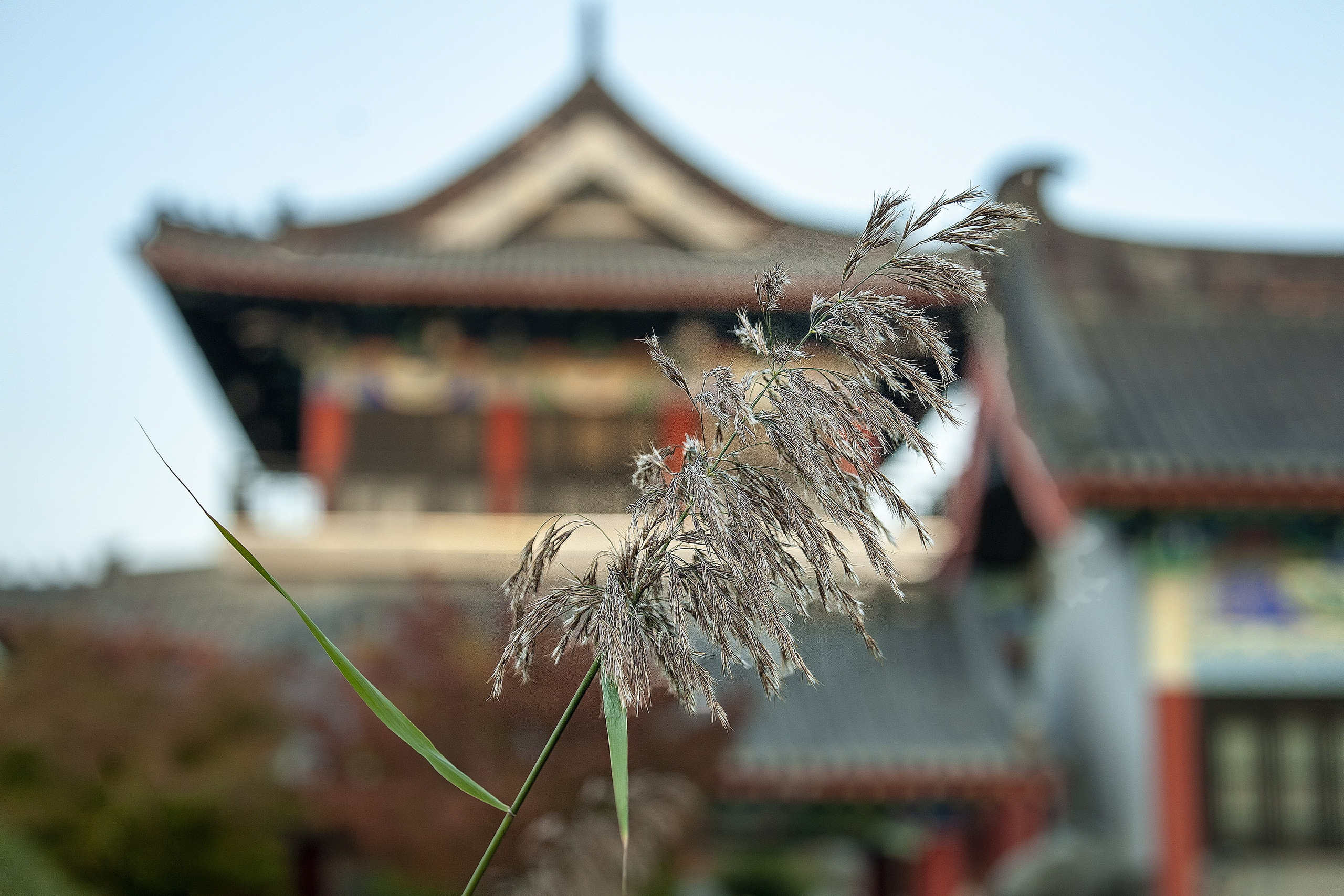 Загадочный Китай. FotoGraf