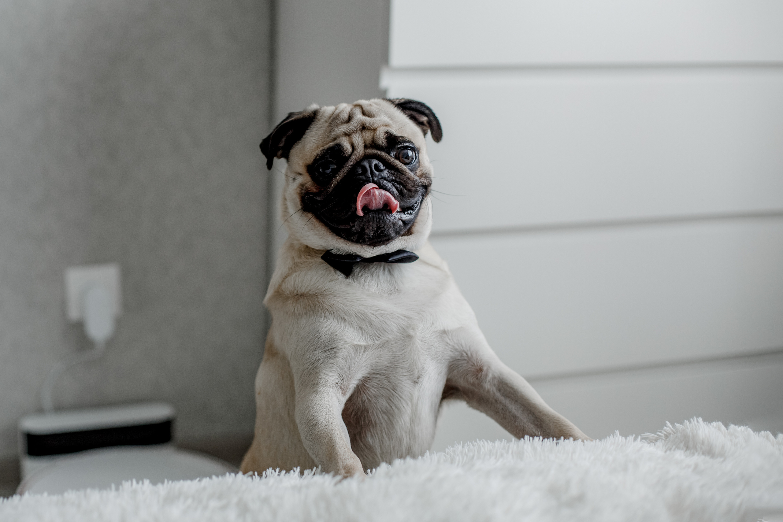 Свадьба, город, кабриолет. Свадебный фотограф в Самаре Катерина Мостовая