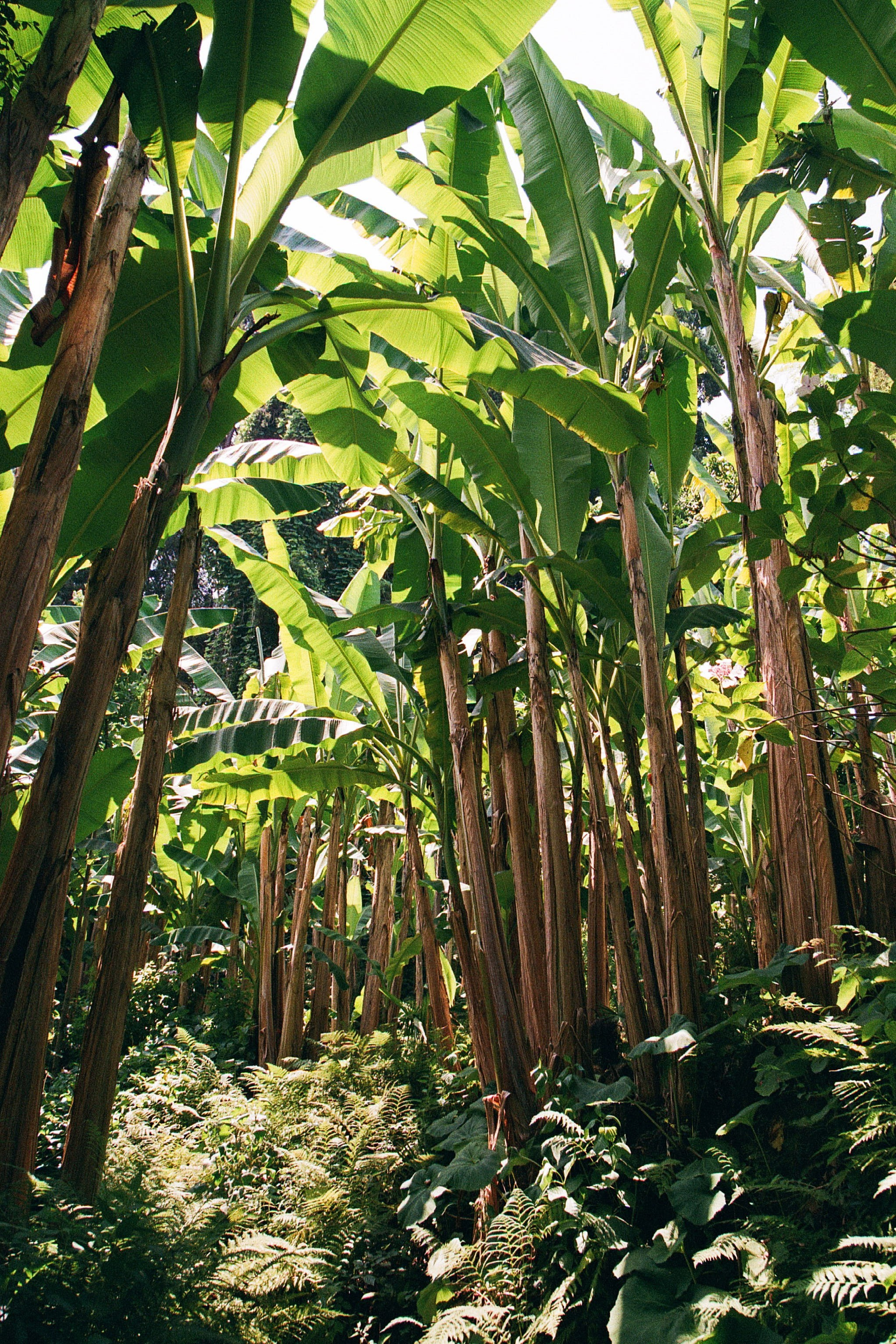 ГРУЗИЯ. ПРИРОДА.25. Профессиональный фотограф Федотова Арина