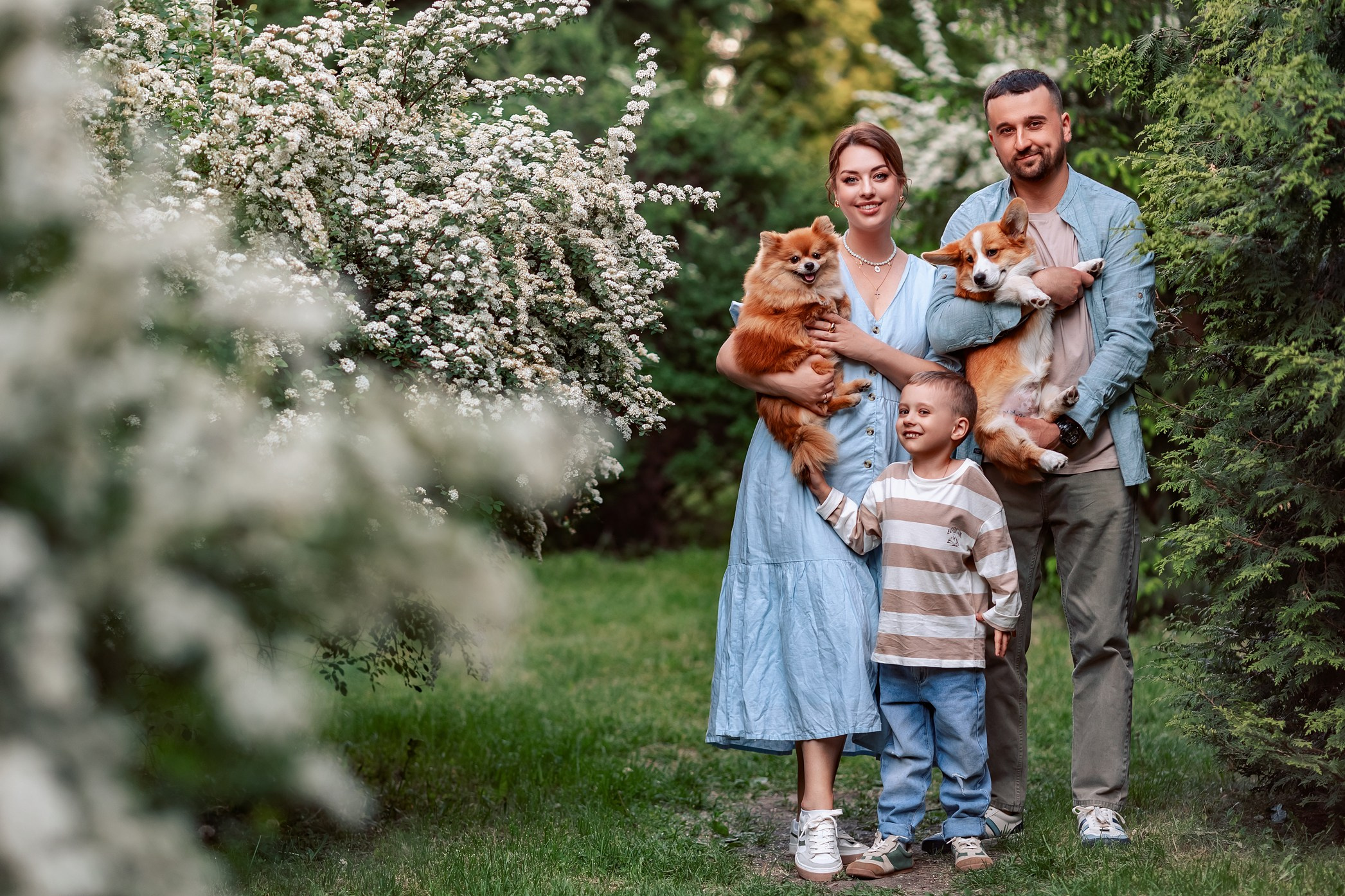Спирея МАЙ. Семейный и детский фотограф |Брянск| Анастасия Перепелкина