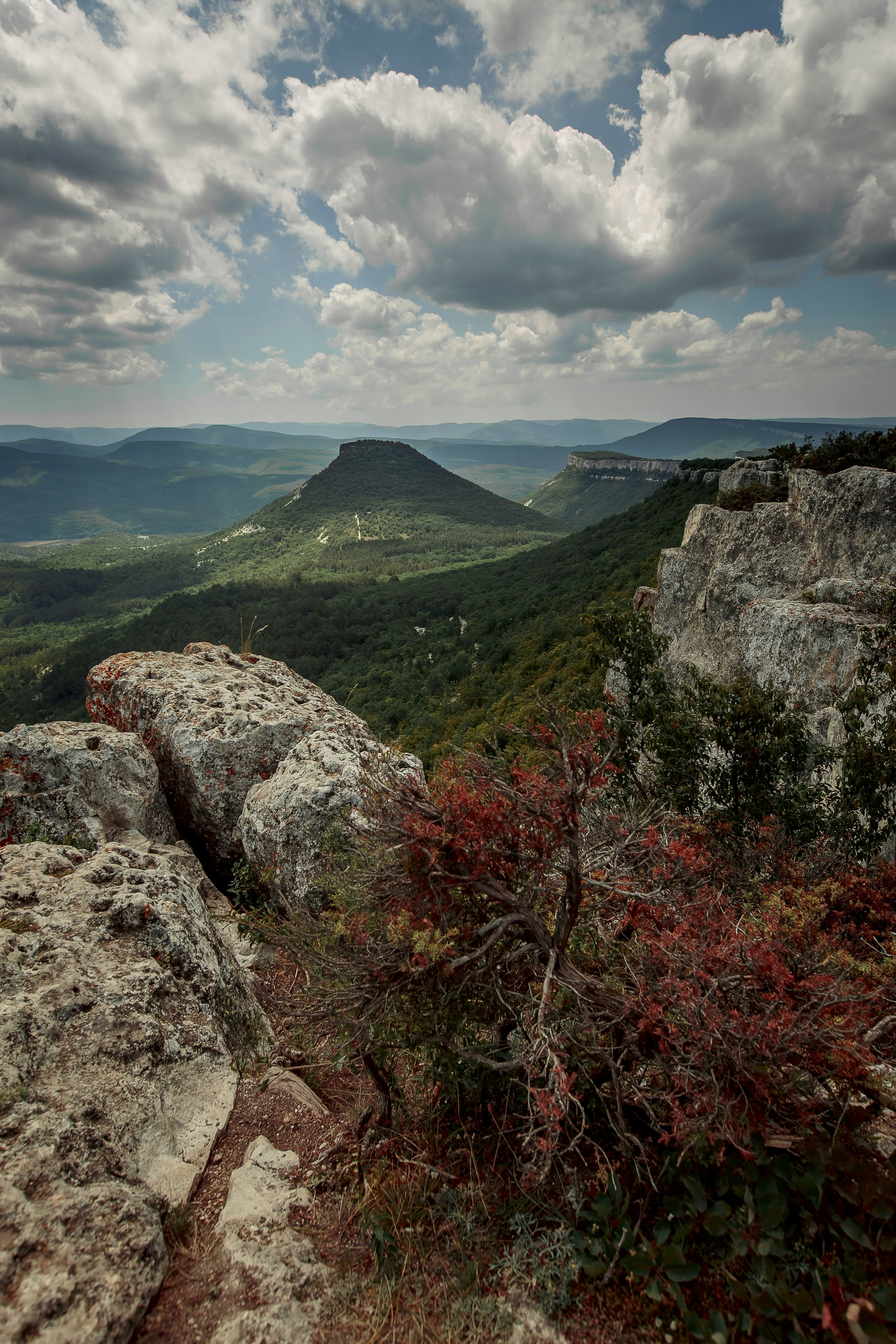 Пейзаж. Детская Конная фотография в Москве Юлия Шепелева