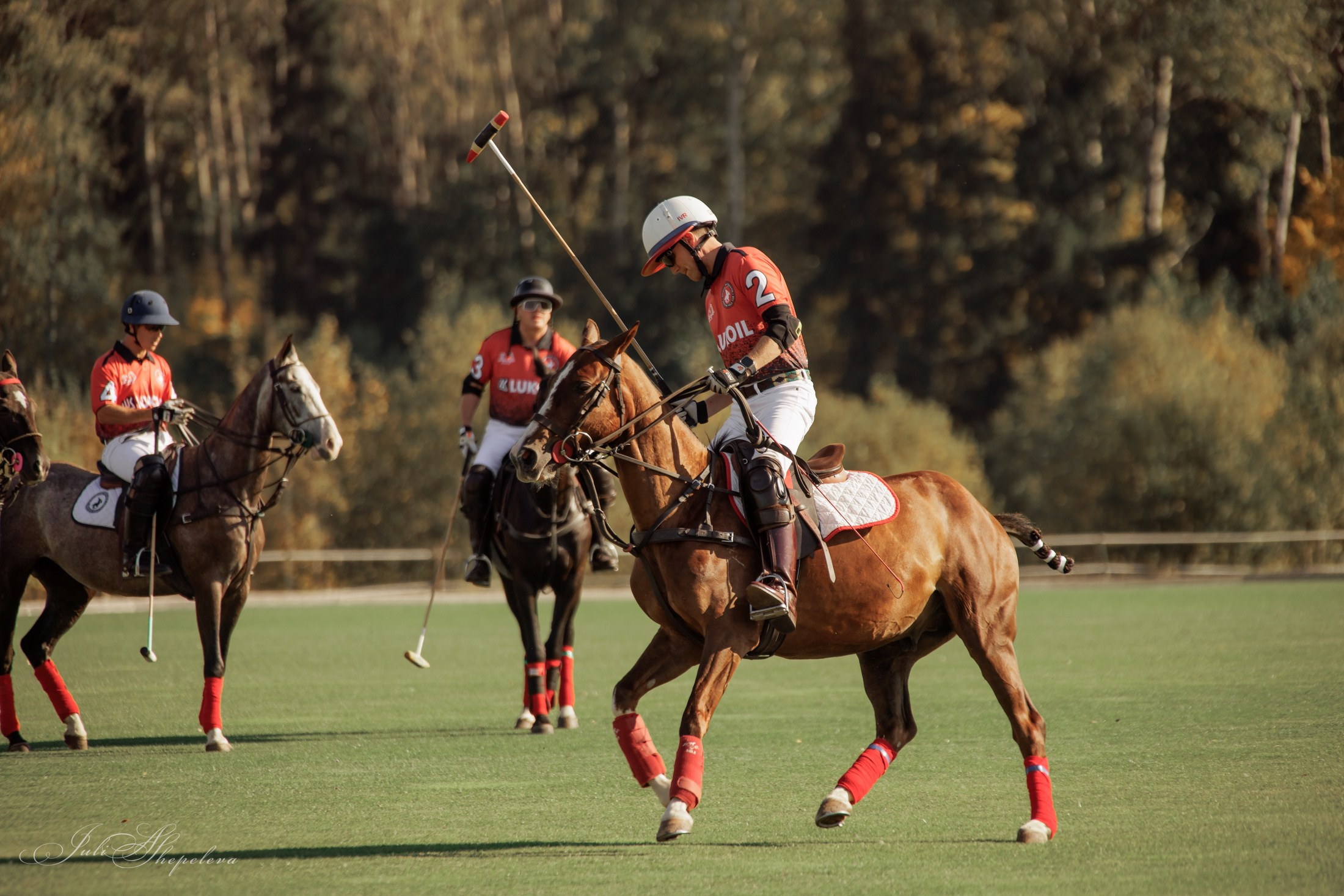Осенний кубок по конному поло. Детская Конная фотография в Москве Юлия Шепелева