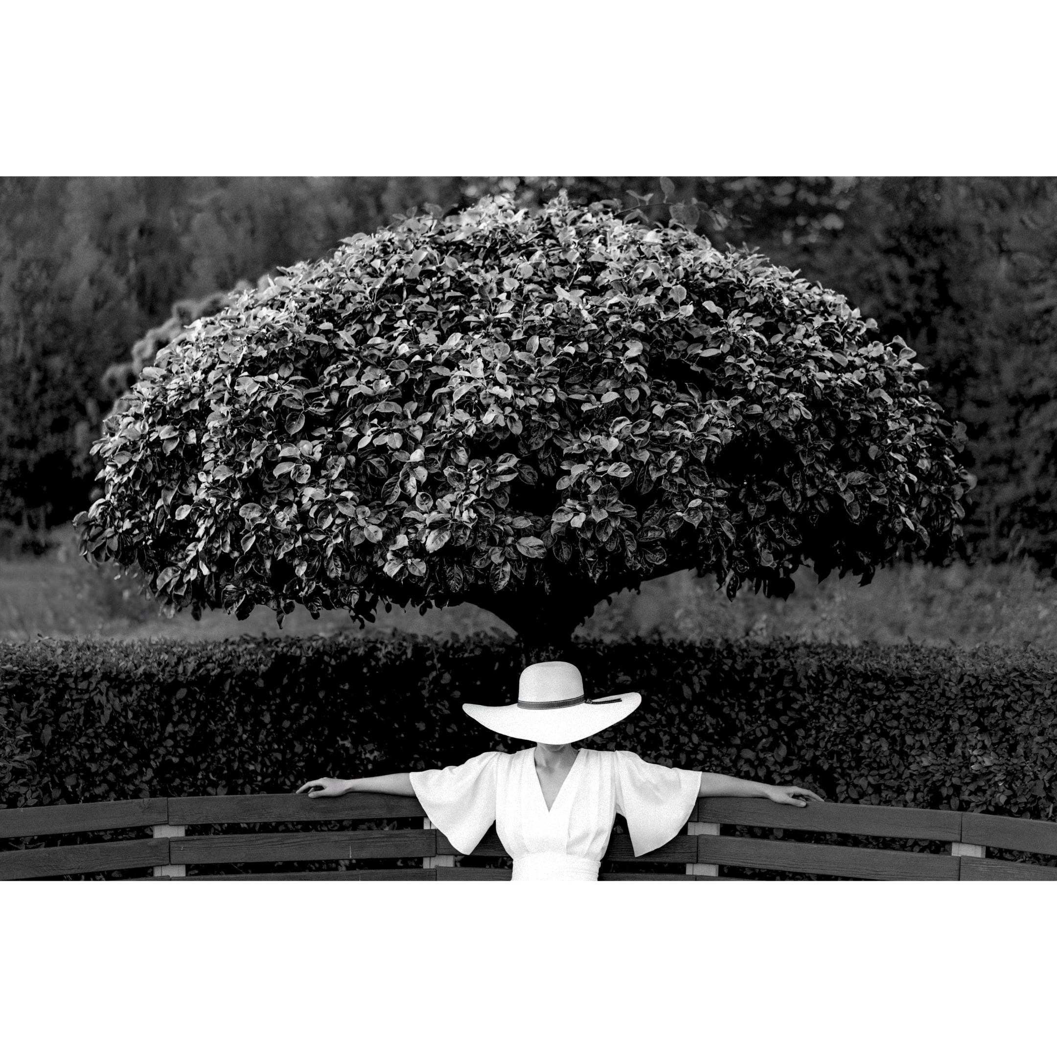 Белое на чёрном