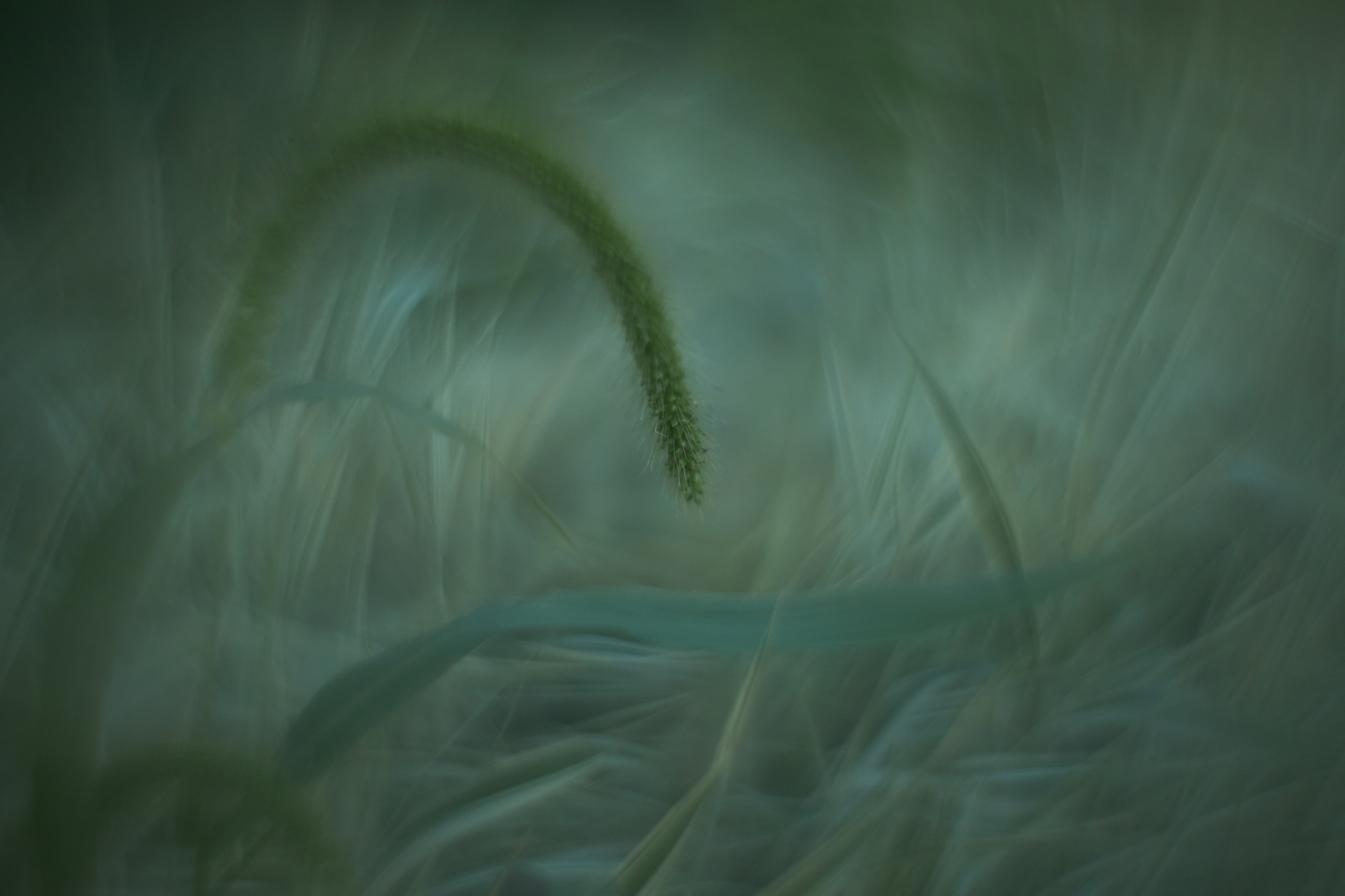 «Незримые Миры». Арт-фотограф во Владивостоке Дмитрий Осипчук